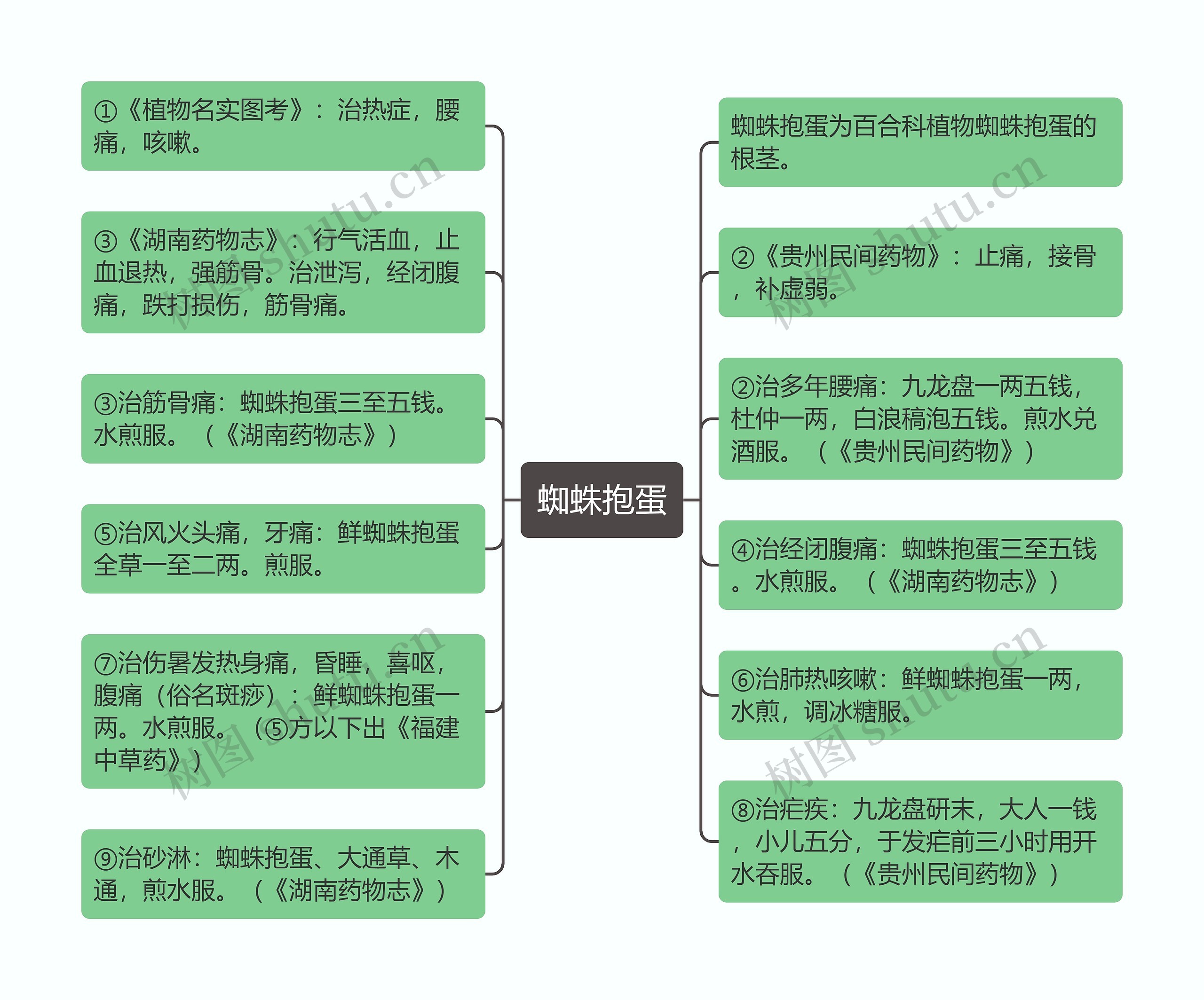 蜘蛛抱蛋思维导图