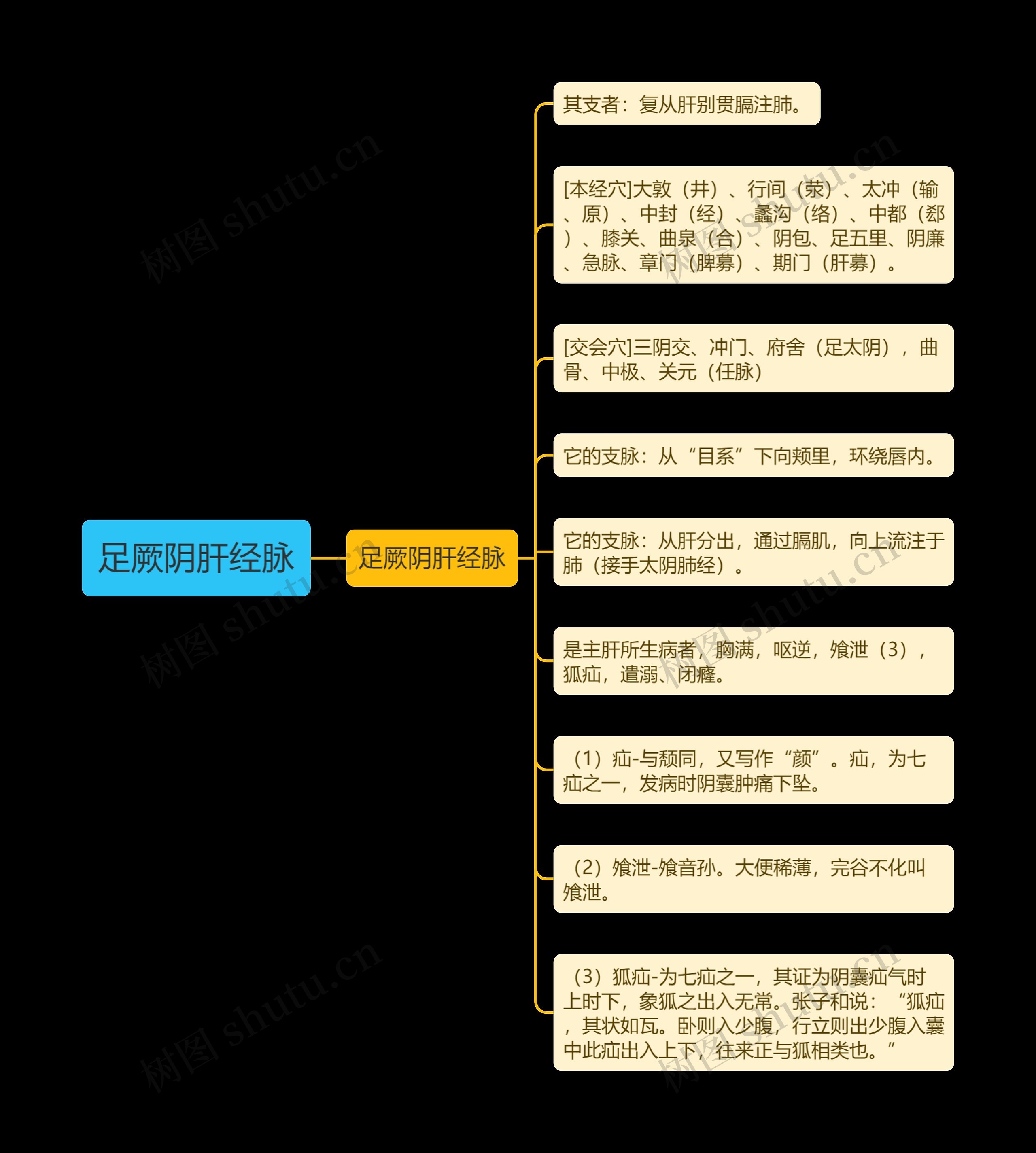 足厥阴肝经脉思维导图