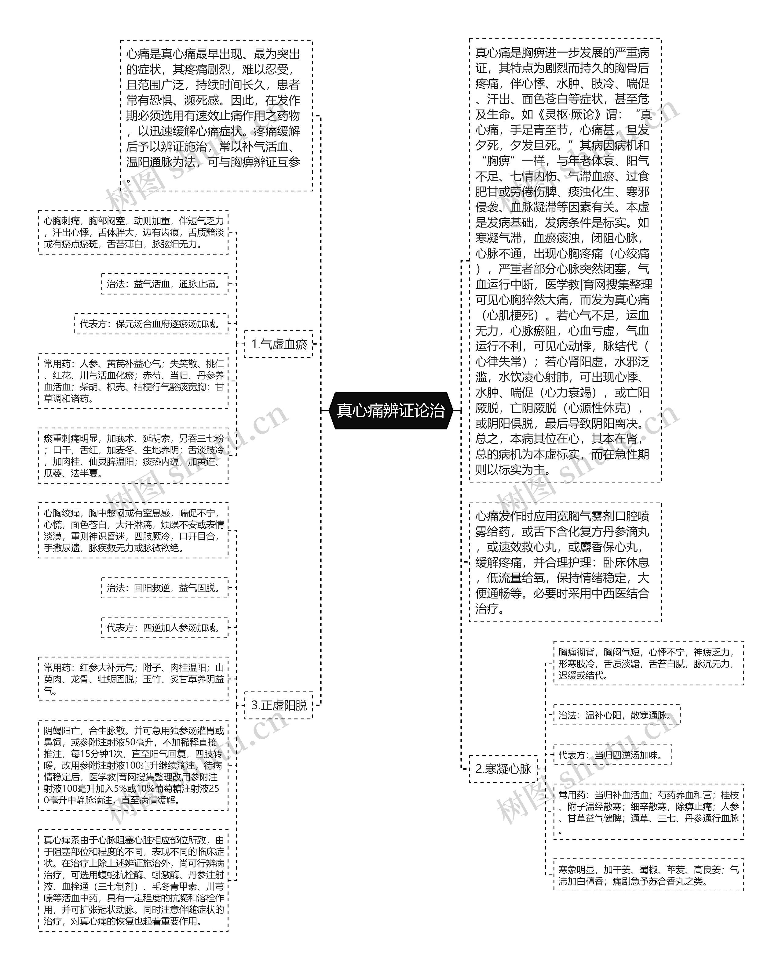 真心痛辨证论治思维导图