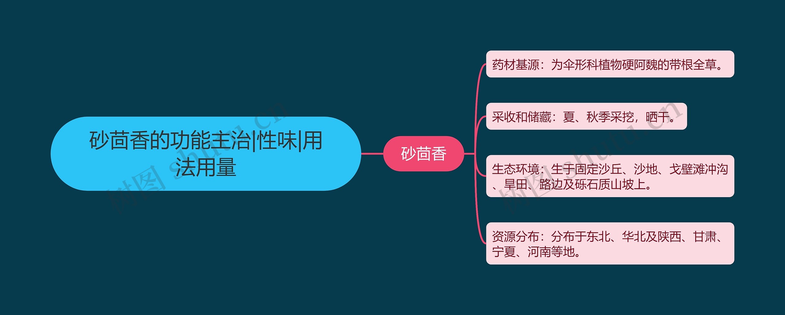 砂茴香的功能主治|性味|用法用量 砂茴香的功能主治|性味|用法用量