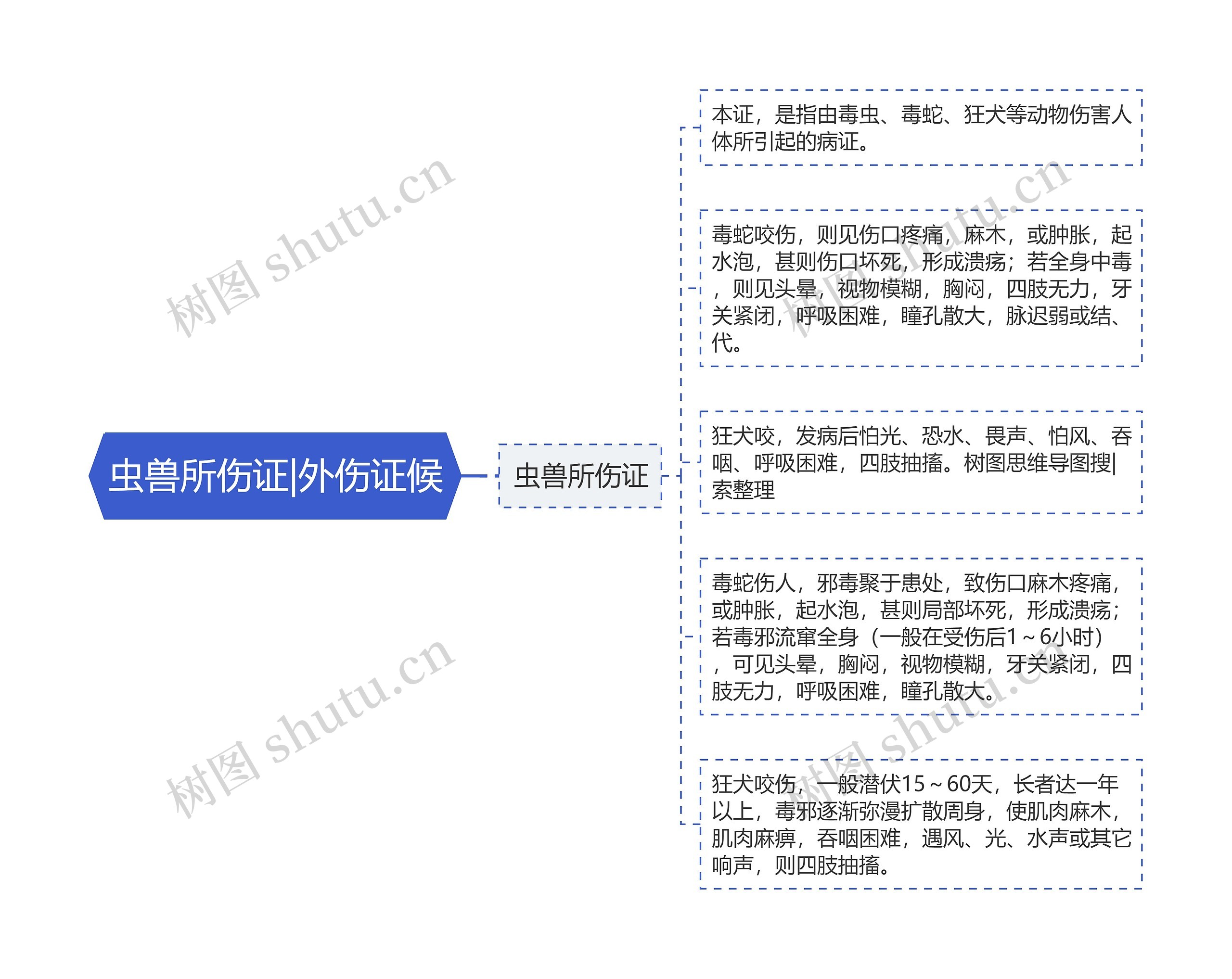 虫兽所伤证|外伤证候思维导图