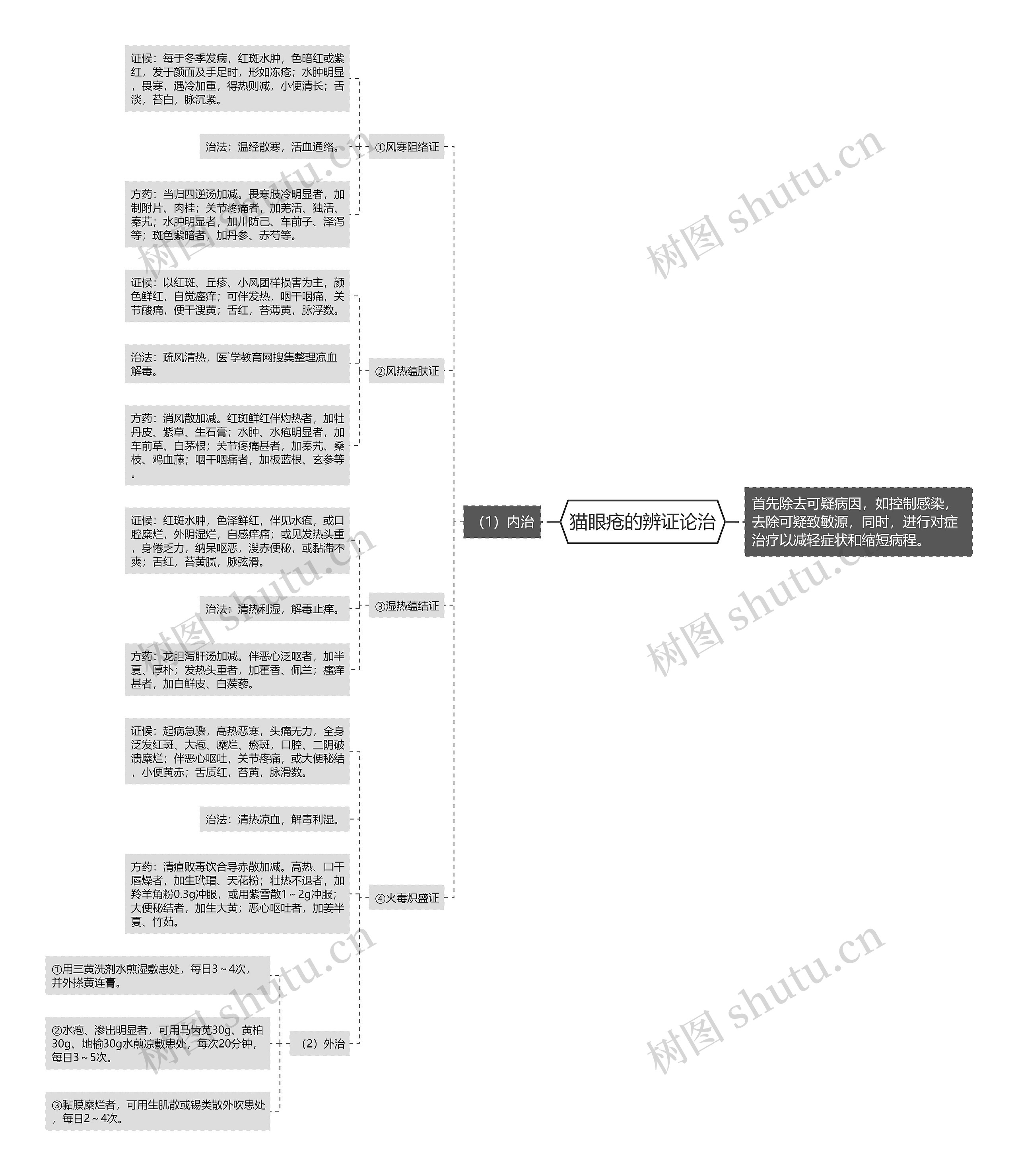 猫眼疮的辨证论治思维导图