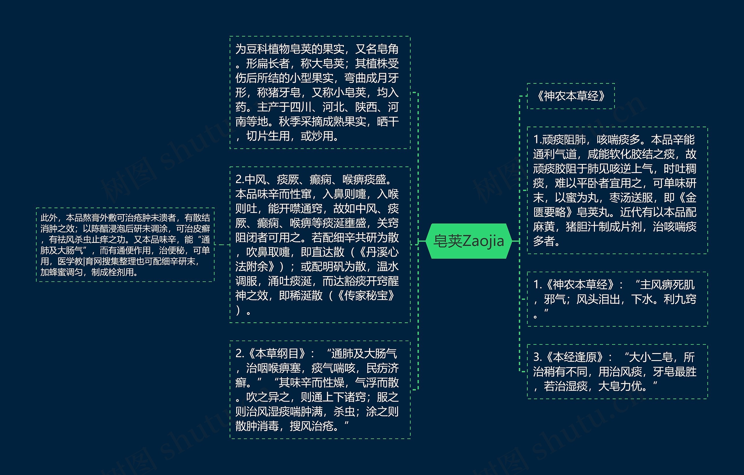 皂荚Zaojia思维导图