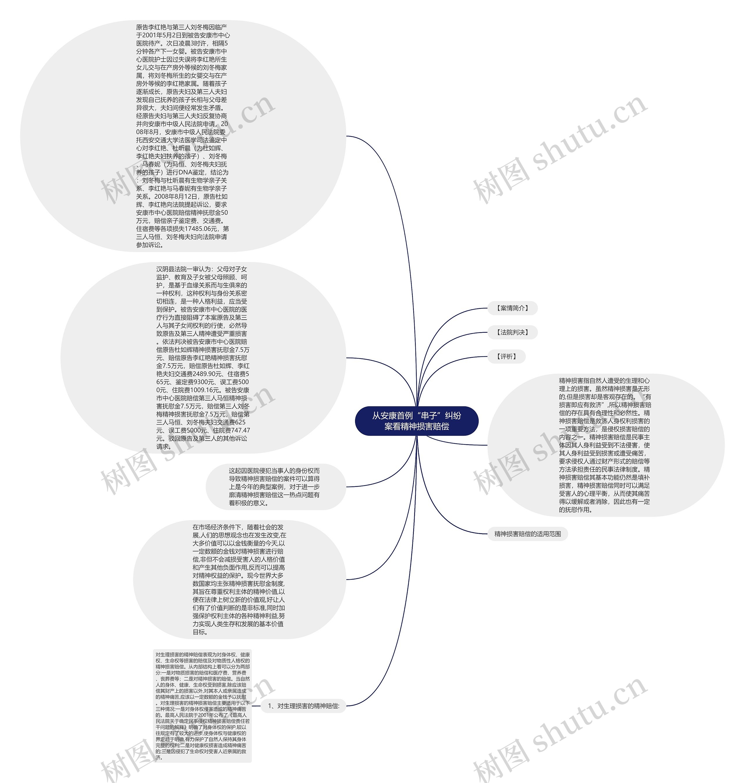 从安康首例“串子”纠纷案看精神损害赔偿思维导图