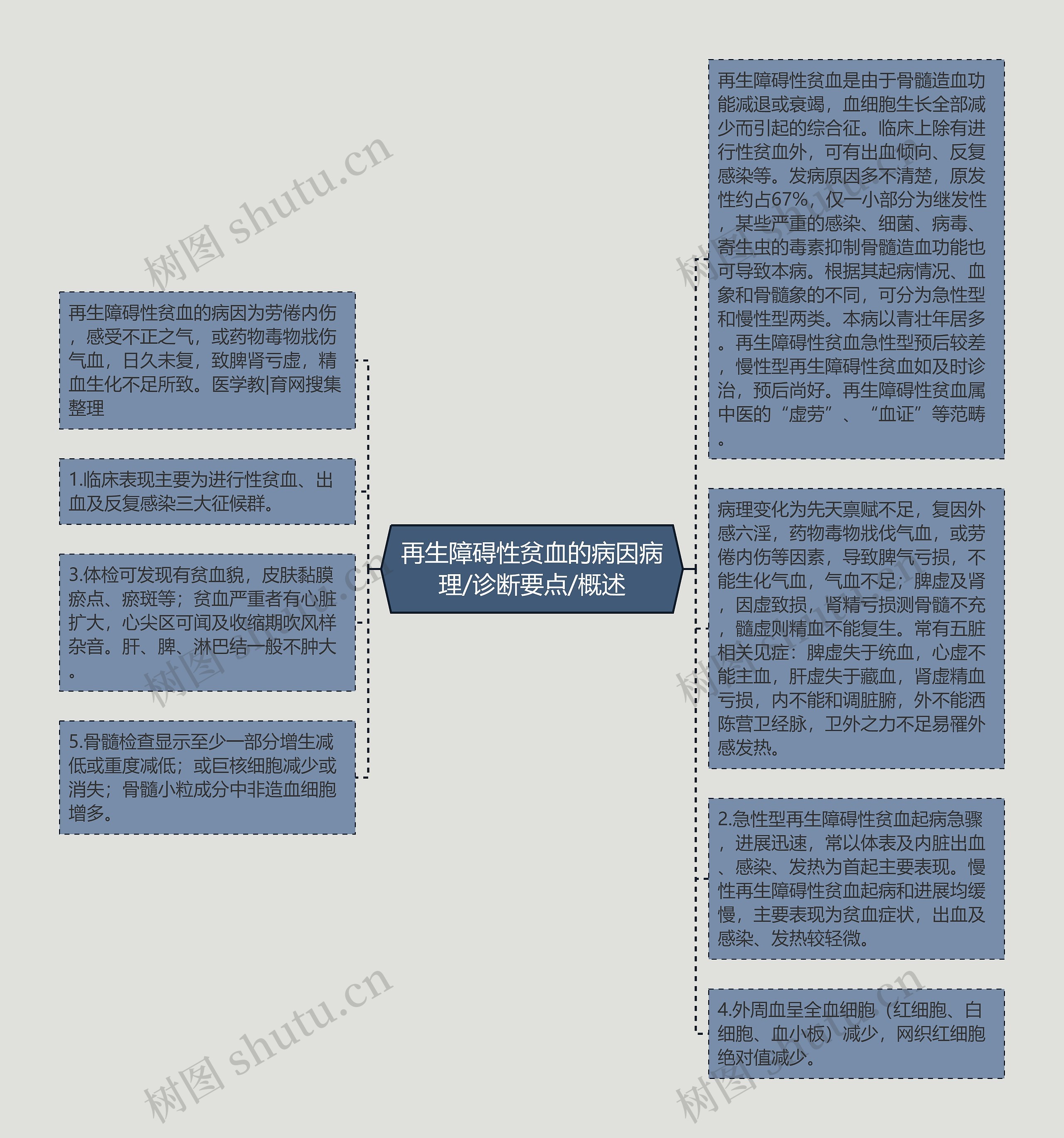 再生障碍性贫血的病因病理/诊断要点/概述思维导图