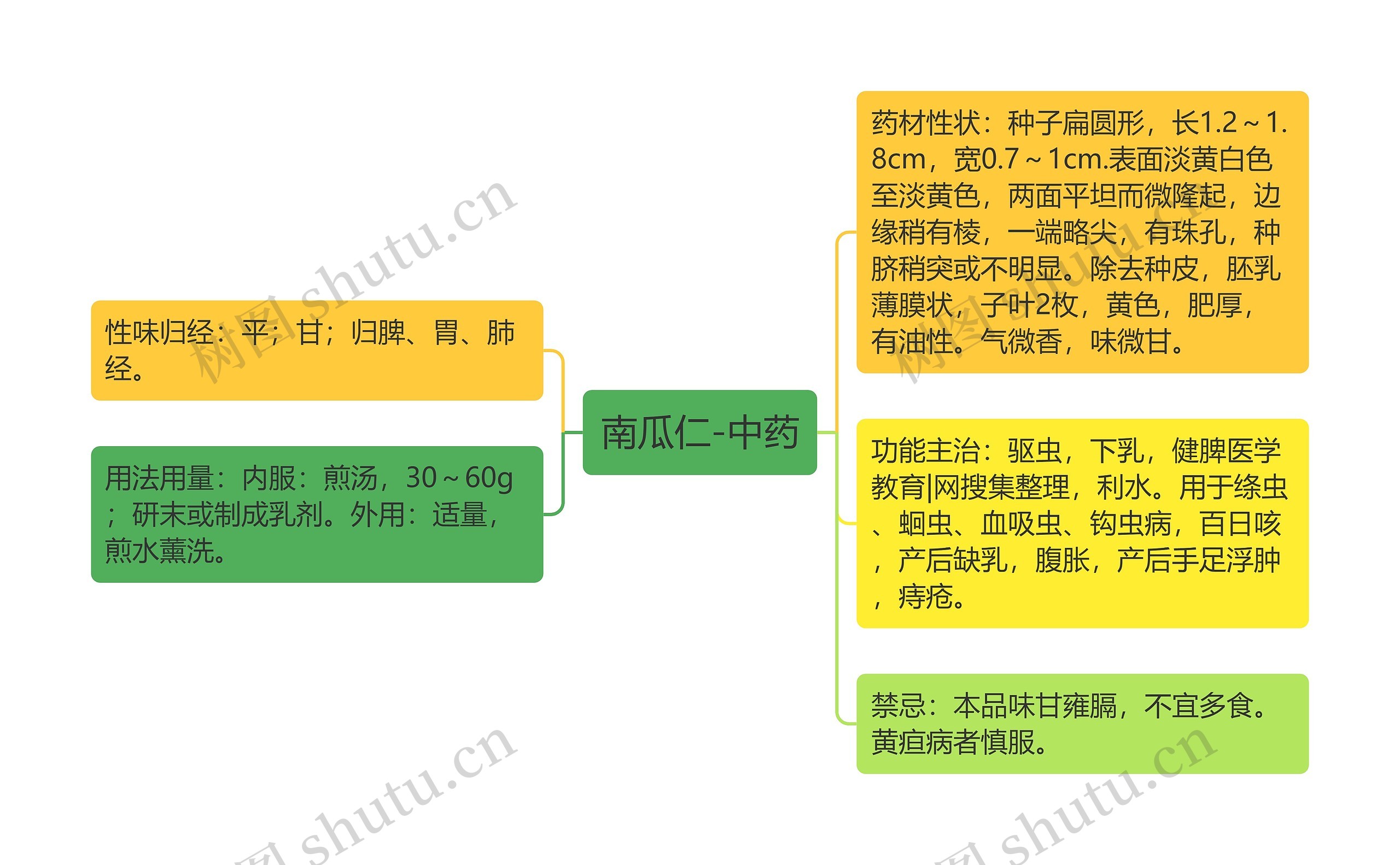 南瓜仁-中药思维导图
