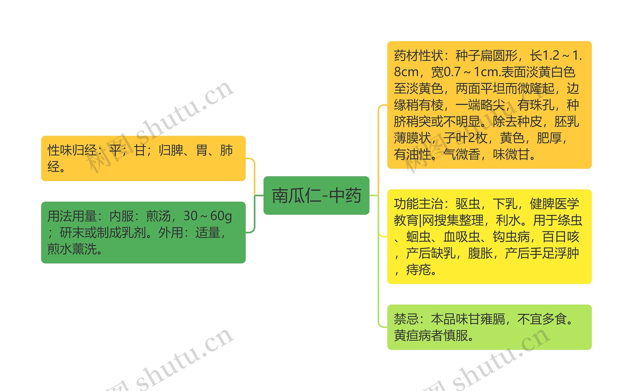 南瓜仁-中药 南瓜仁-中药