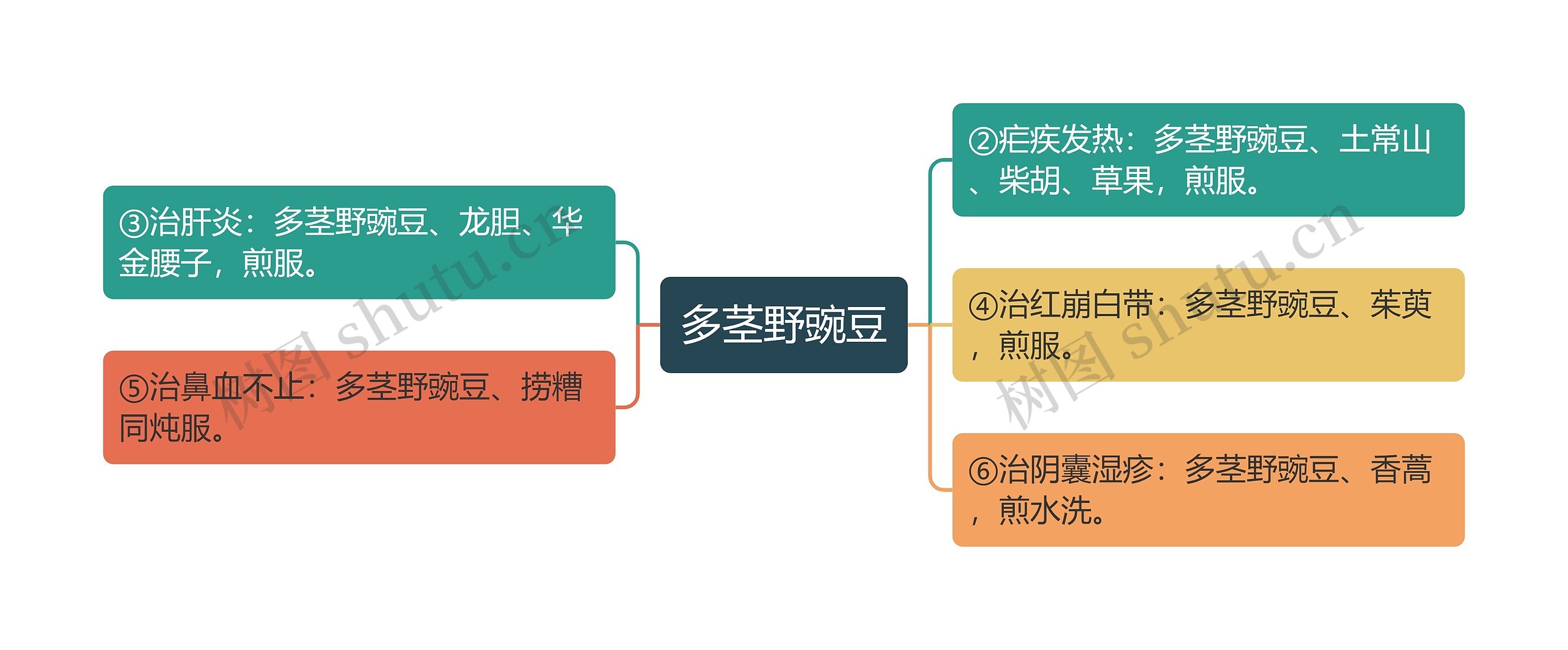 多茎野豌豆思维导图