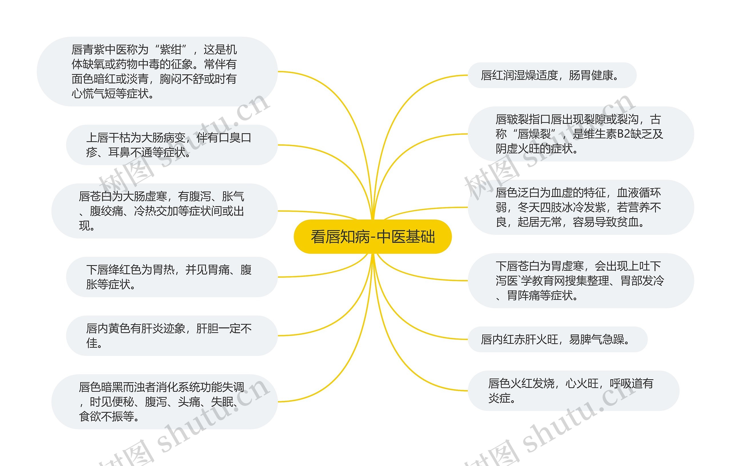 看唇知病-中医基础思维导图