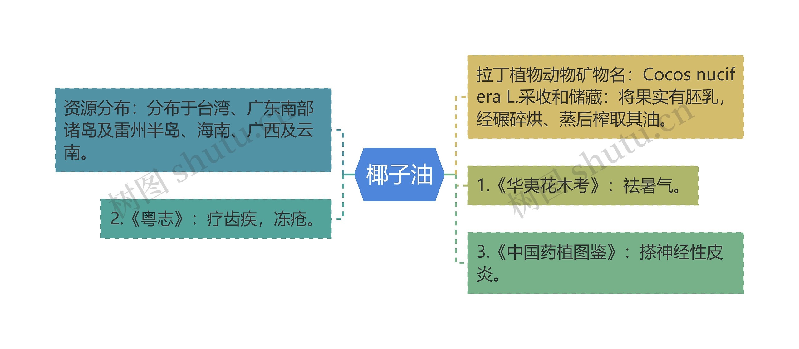 椰子油思维导图