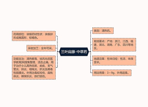 三叶扁藤-中草药