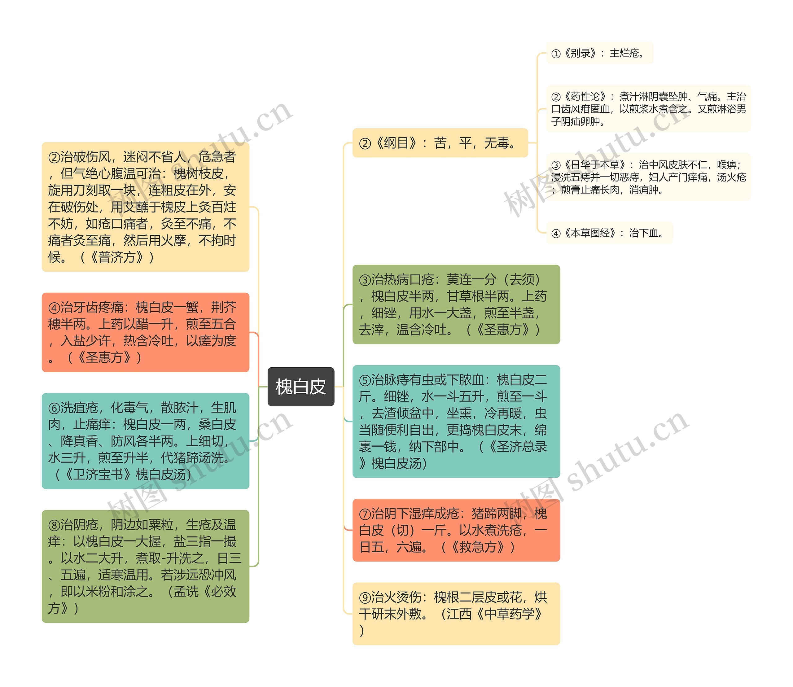 槐白皮思维导图