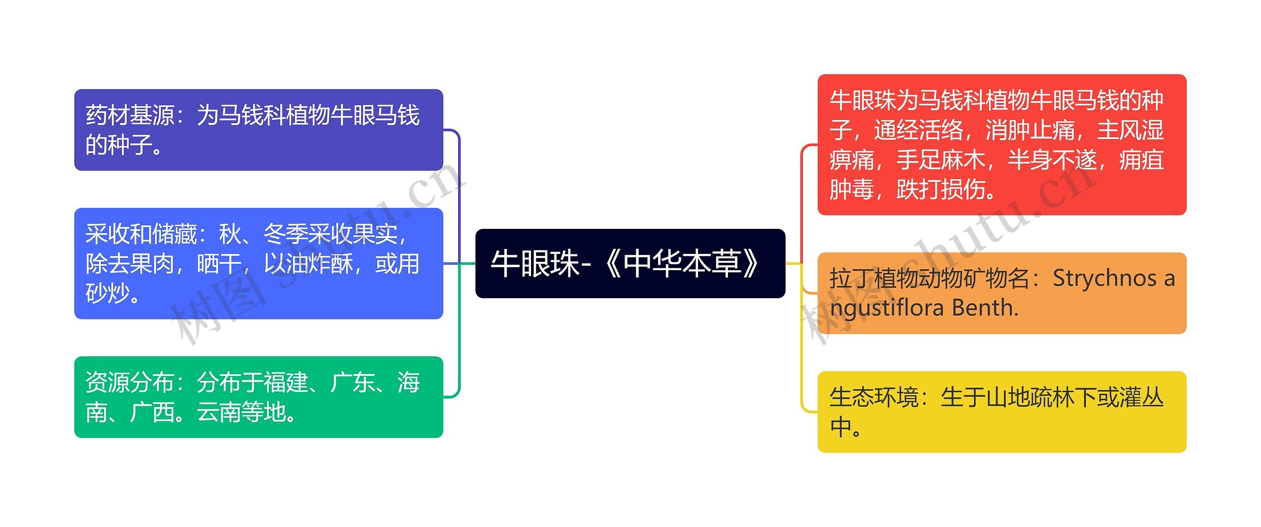 牛眼珠-《中华本草》思维导图