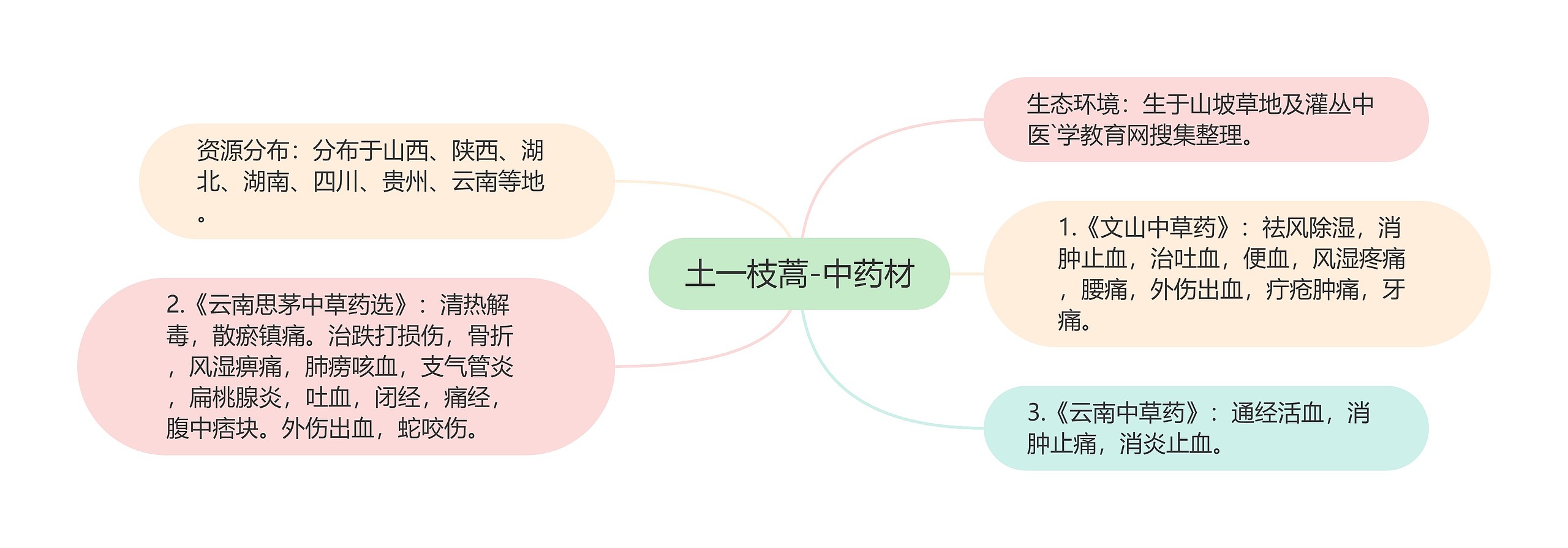 土一枝蒿-中药材思维导图