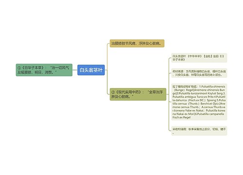 白头翁茎叶思维导图