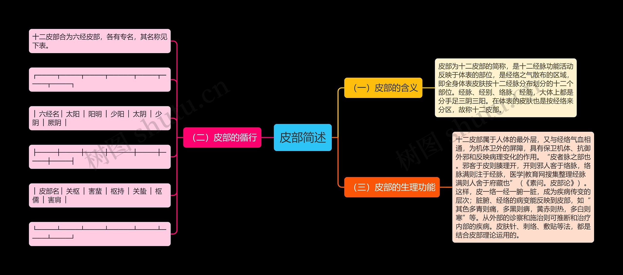 皮部简述思维导图
