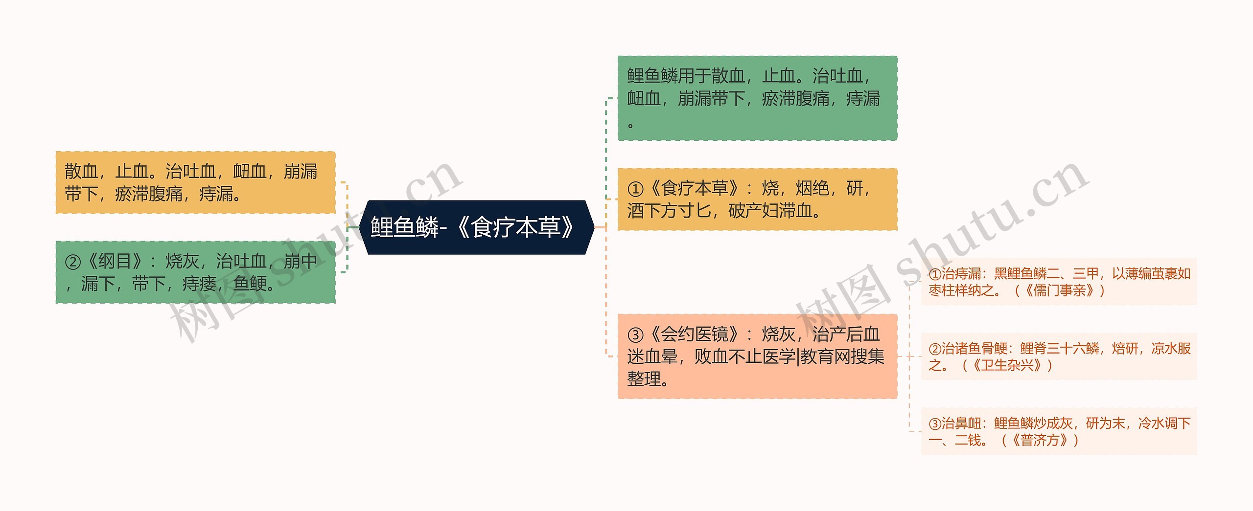 鲤鱼鳞-《食疗本草》思维导图