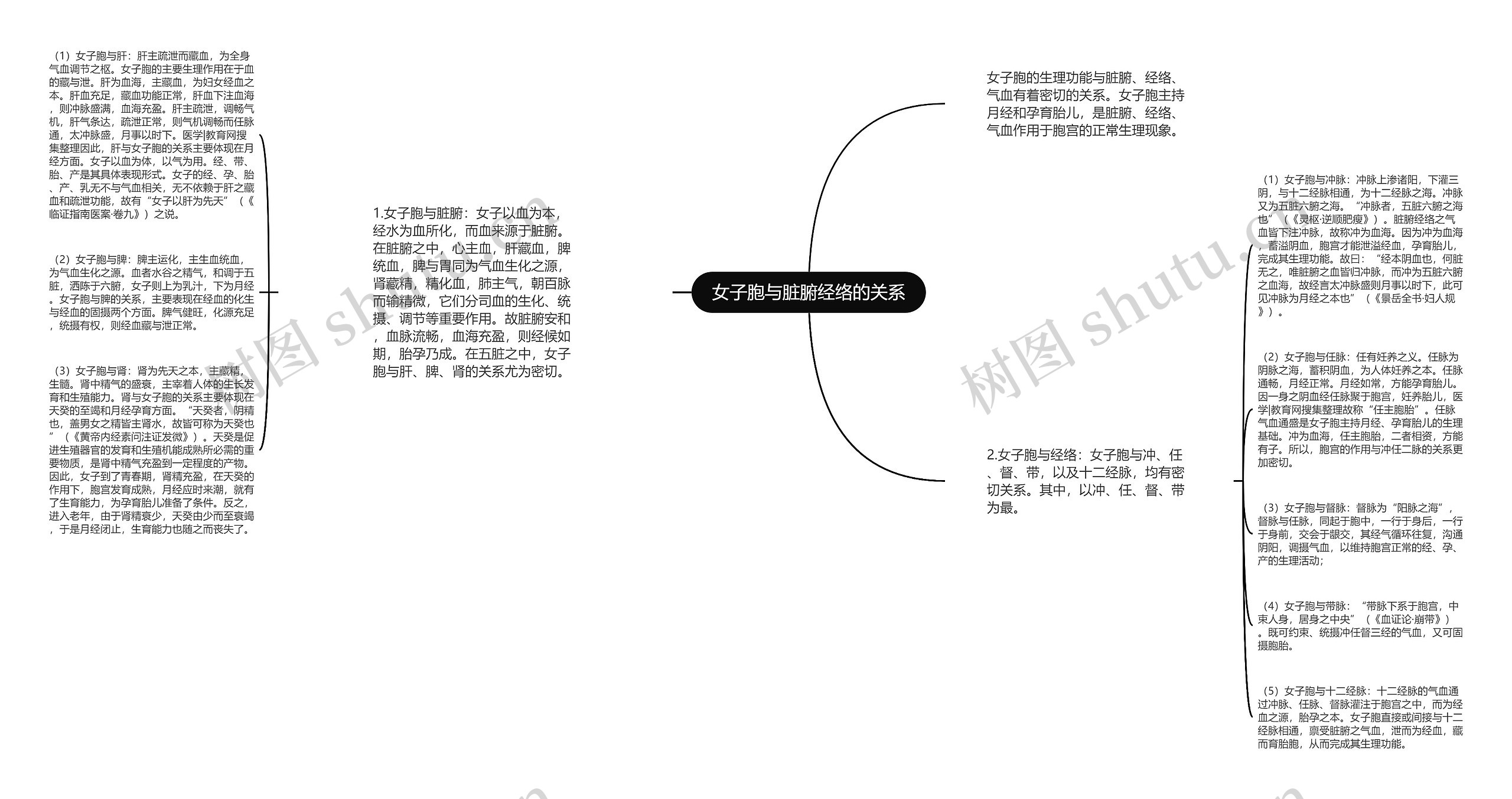 女子胞与脏腑经络的关系