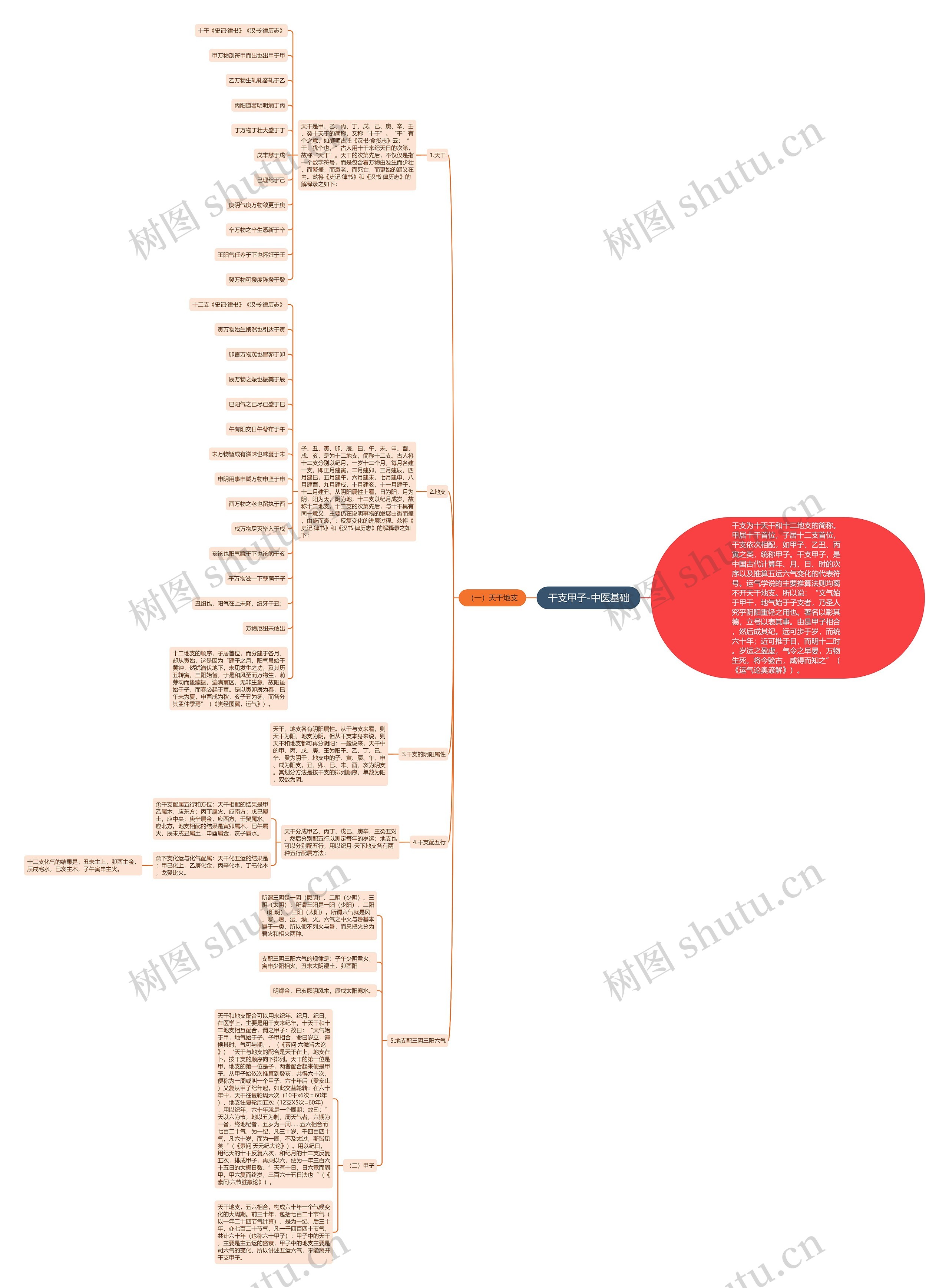 干支甲子-中医基础思维导图