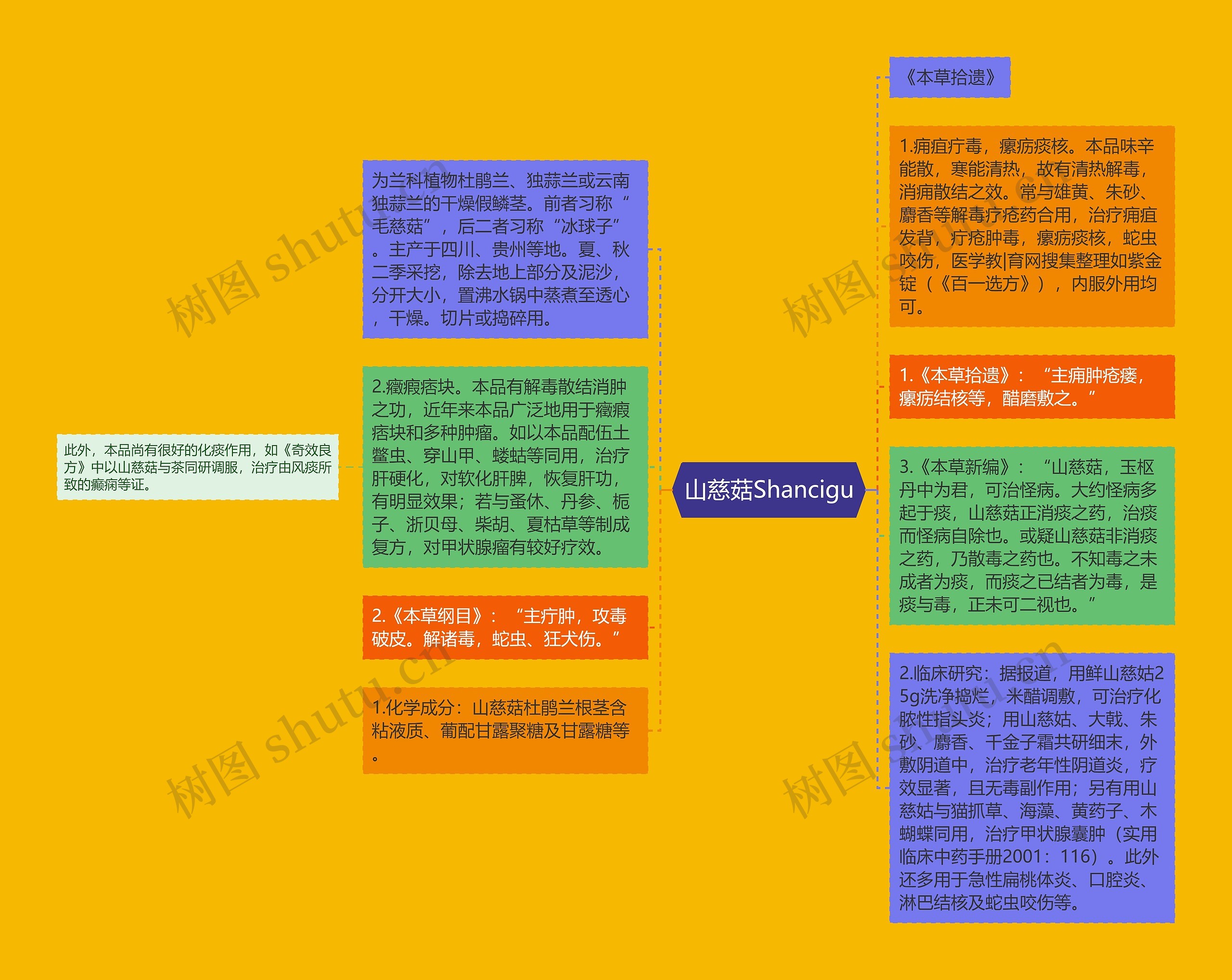 山慈菇Shancigu思维导图