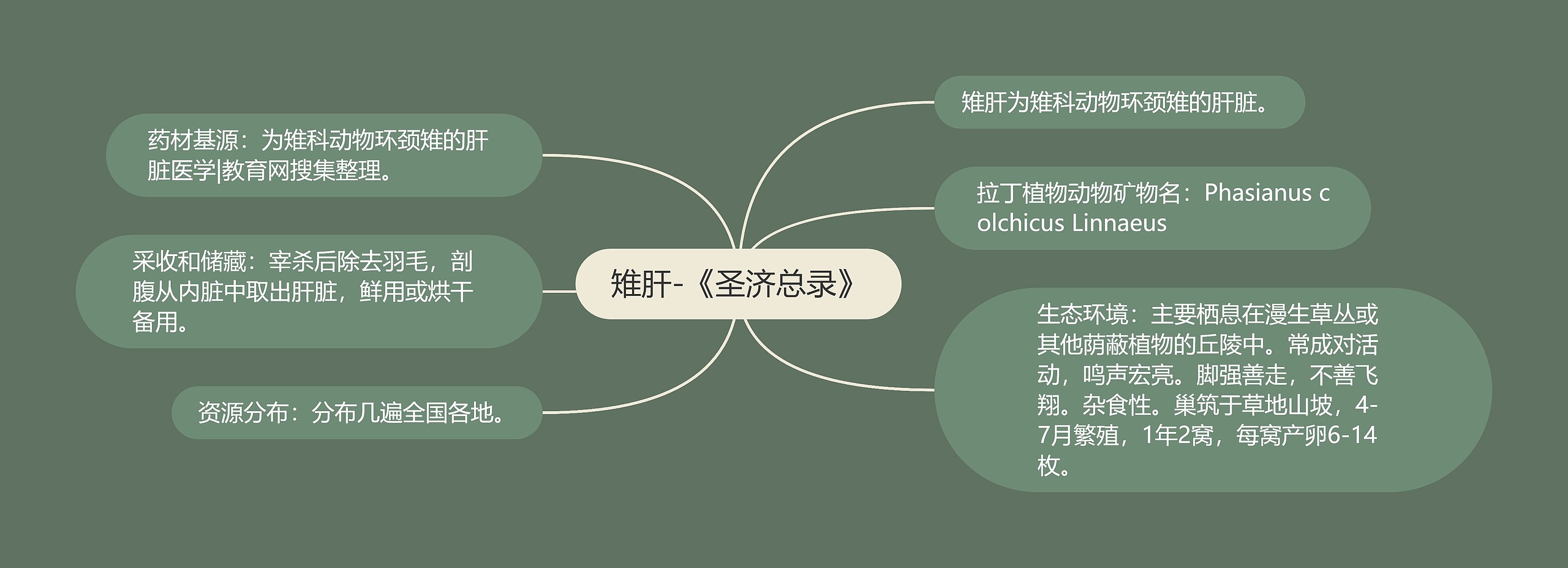 雉肝-《圣济总录》 雉肝-《圣济总录》