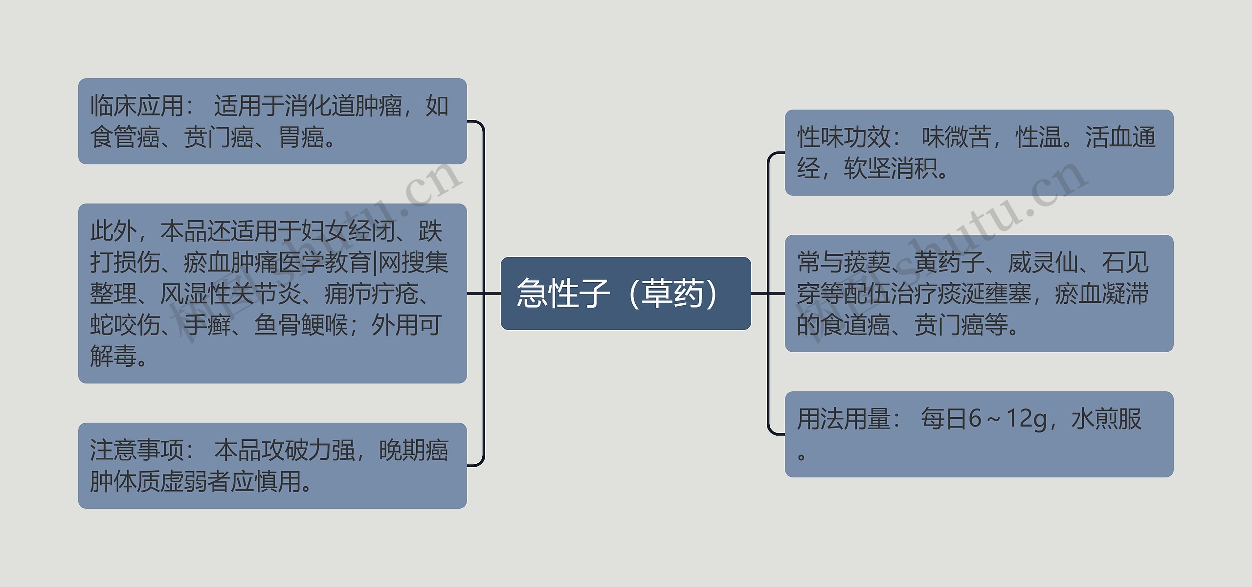 急性子（草药）