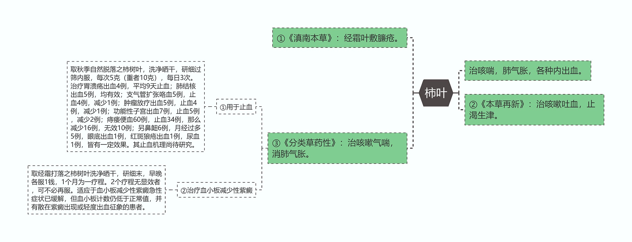 柿叶思维导图