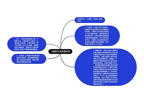 大黄附子汤药理作用