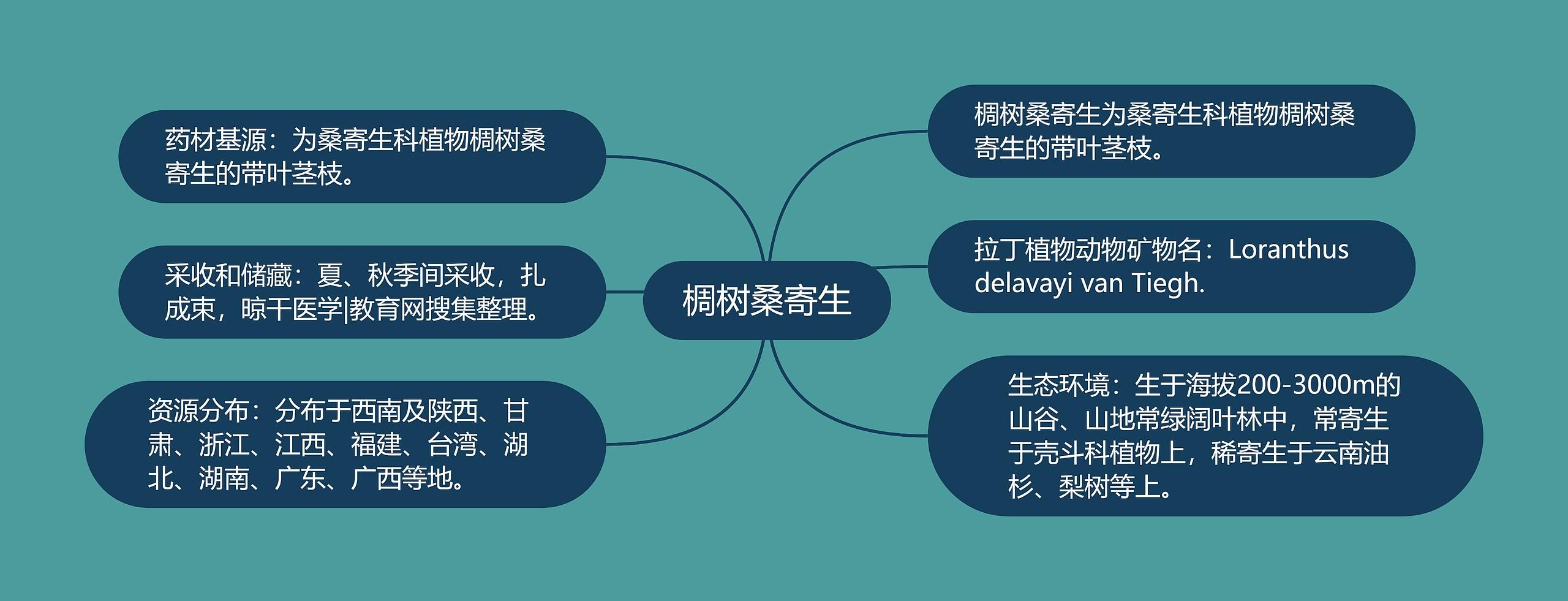 椆树桑寄生思维导图