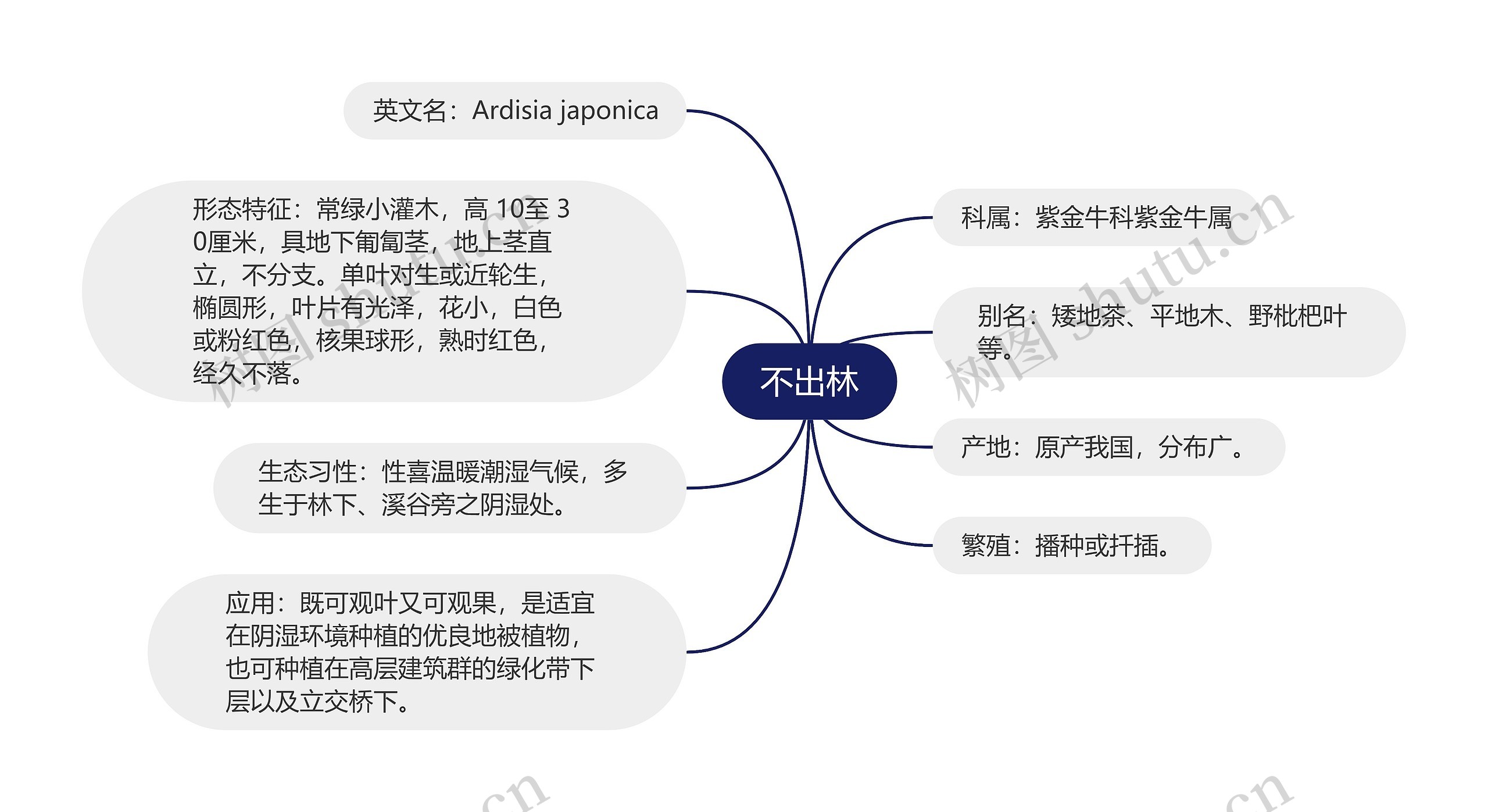 不出林思维导图