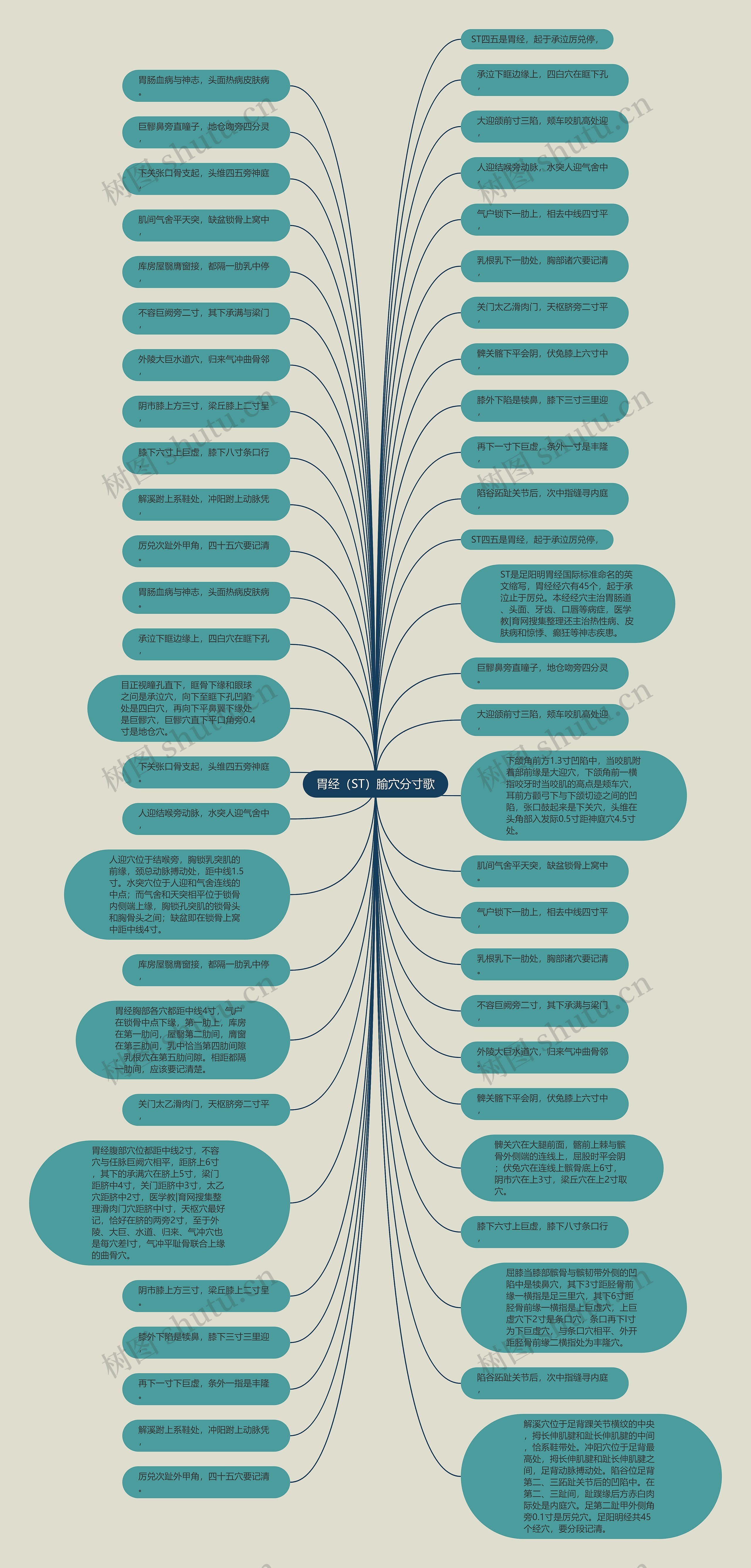 胃经（ST）腧穴分寸歌思维导图