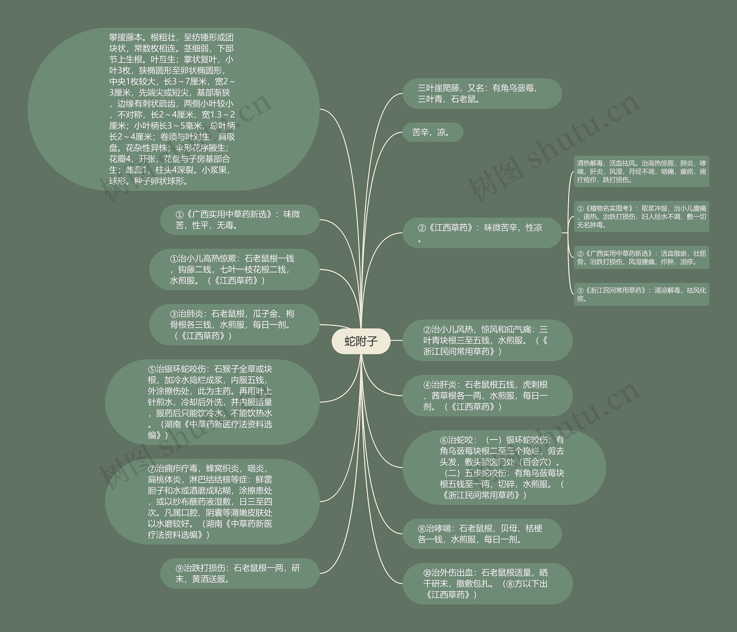 蛇附子思维导图