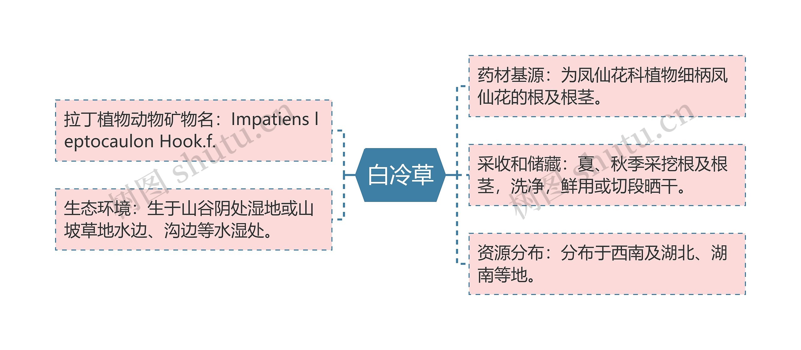 白冷草思维导图