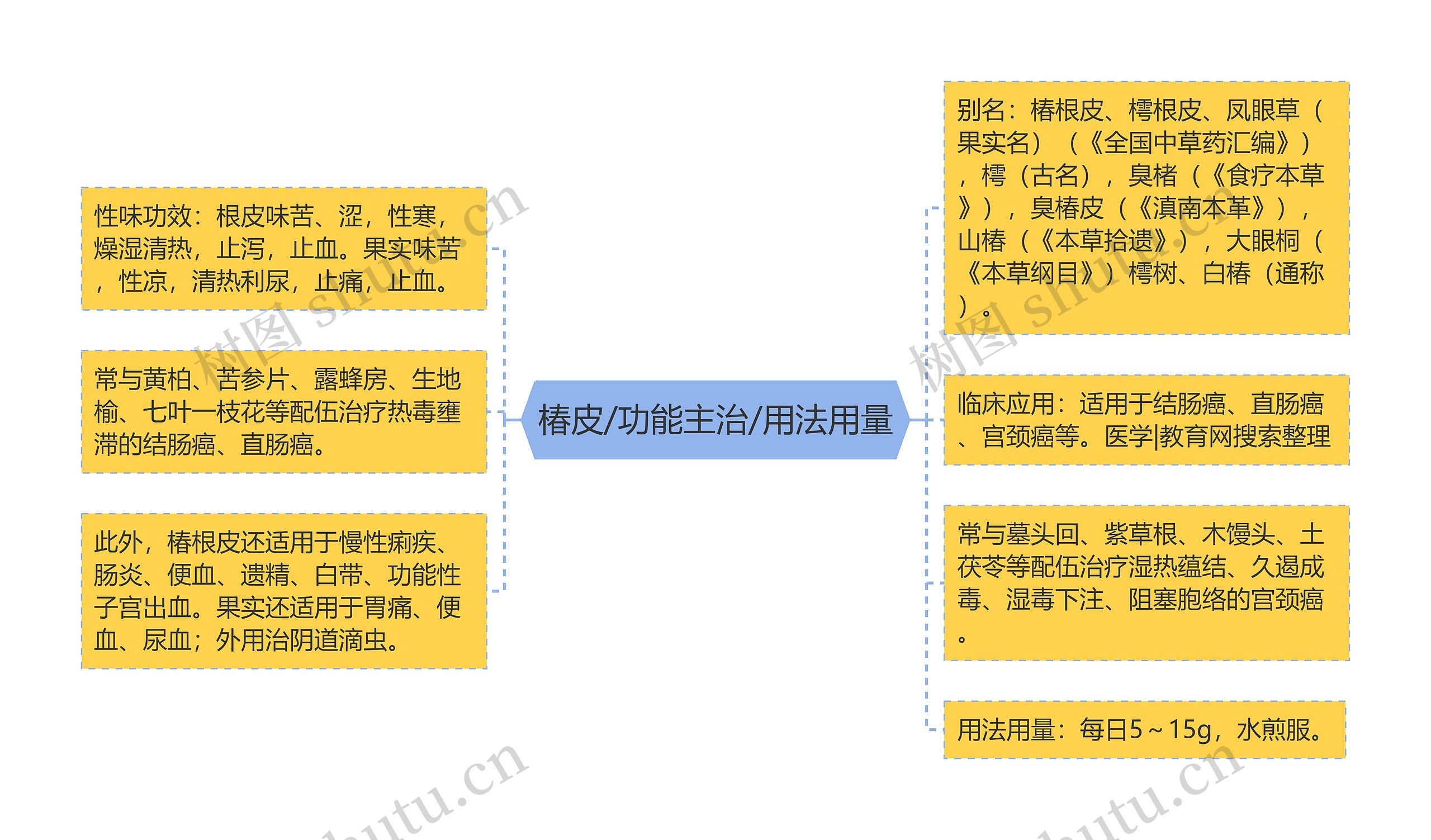 椿皮/功能主治/用法用量思维导图