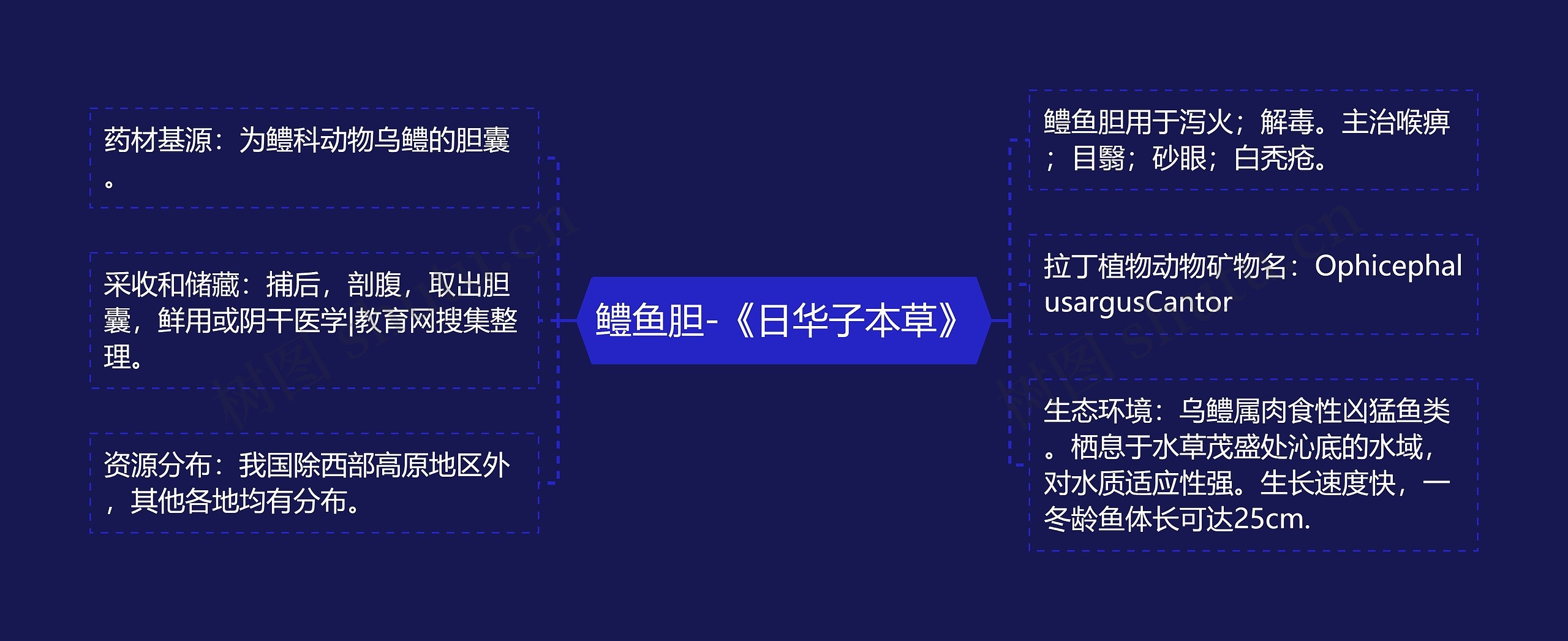 鳢鱼胆-《日华子本草》思维导图