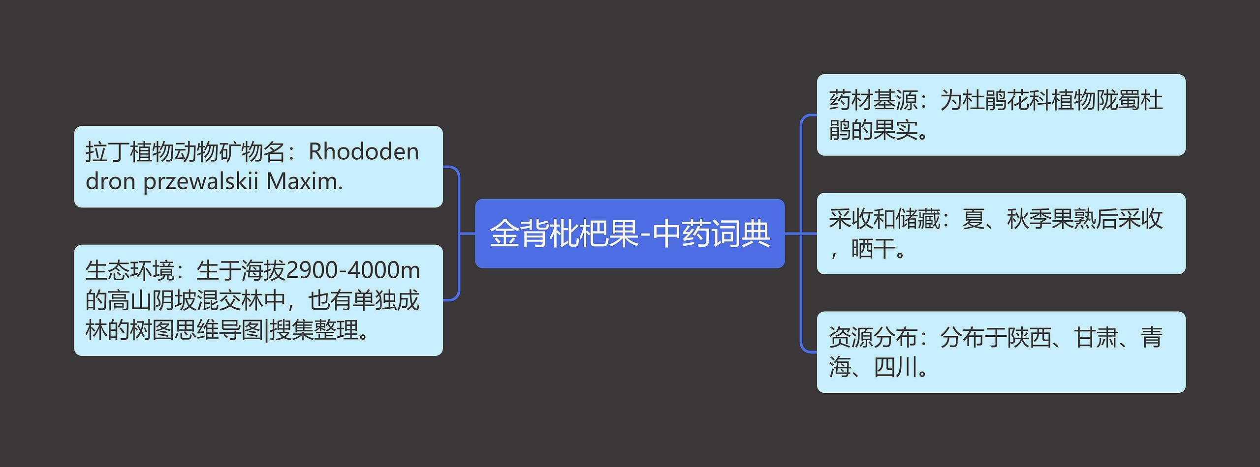 金背枇杷果-中药词典 金背枇杷果-中药词典
