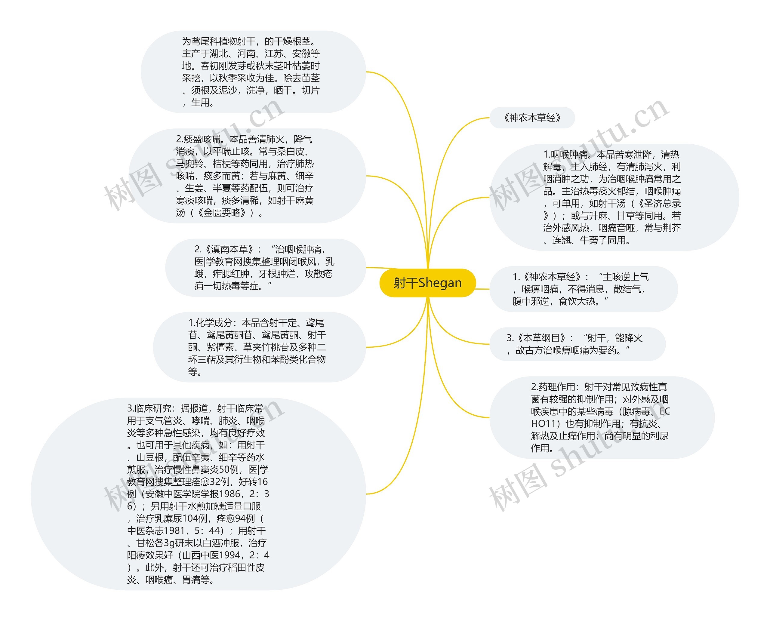 射干Shegan思维导图