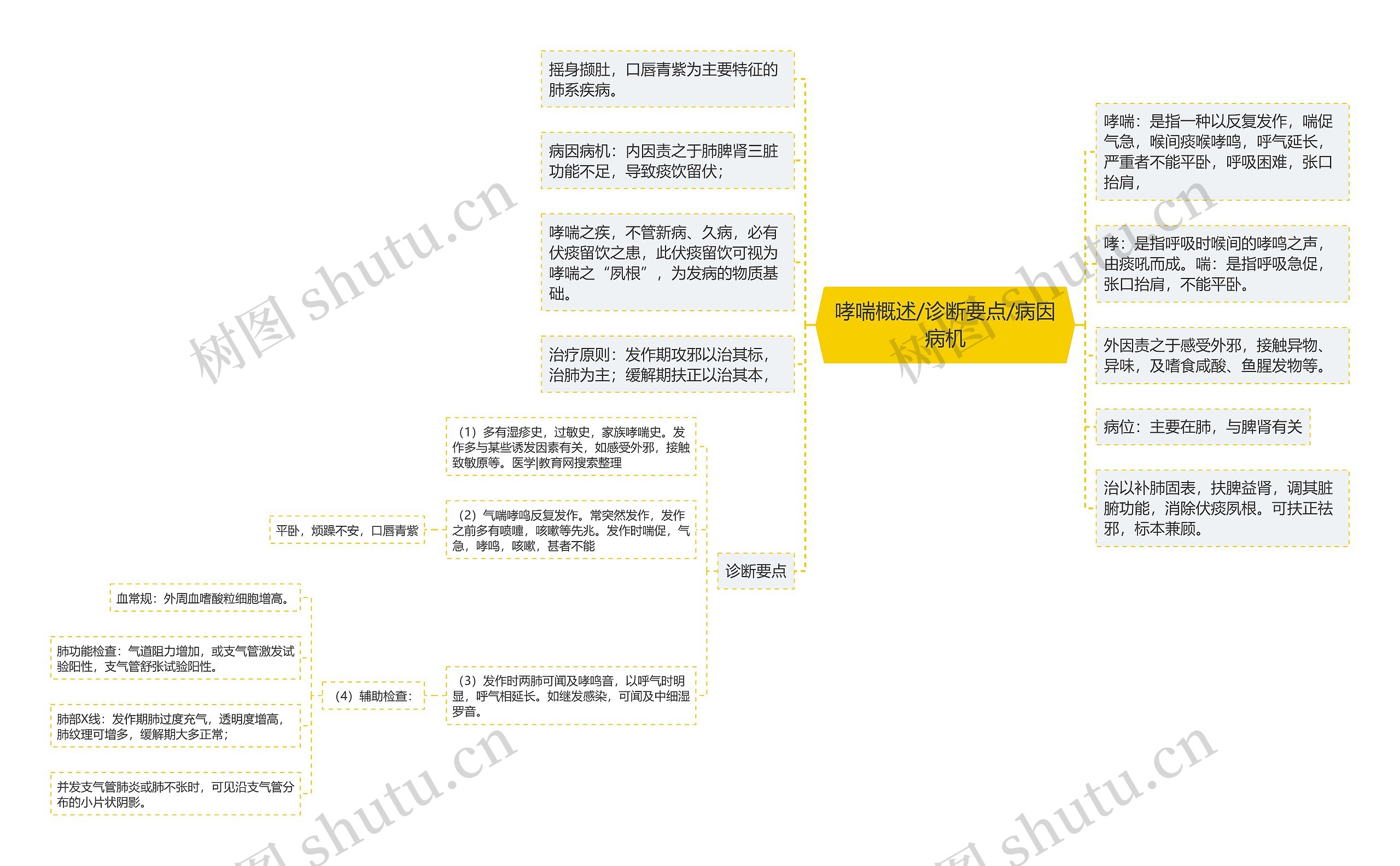 哮喘概述/诊断要点/病因病机思维导图