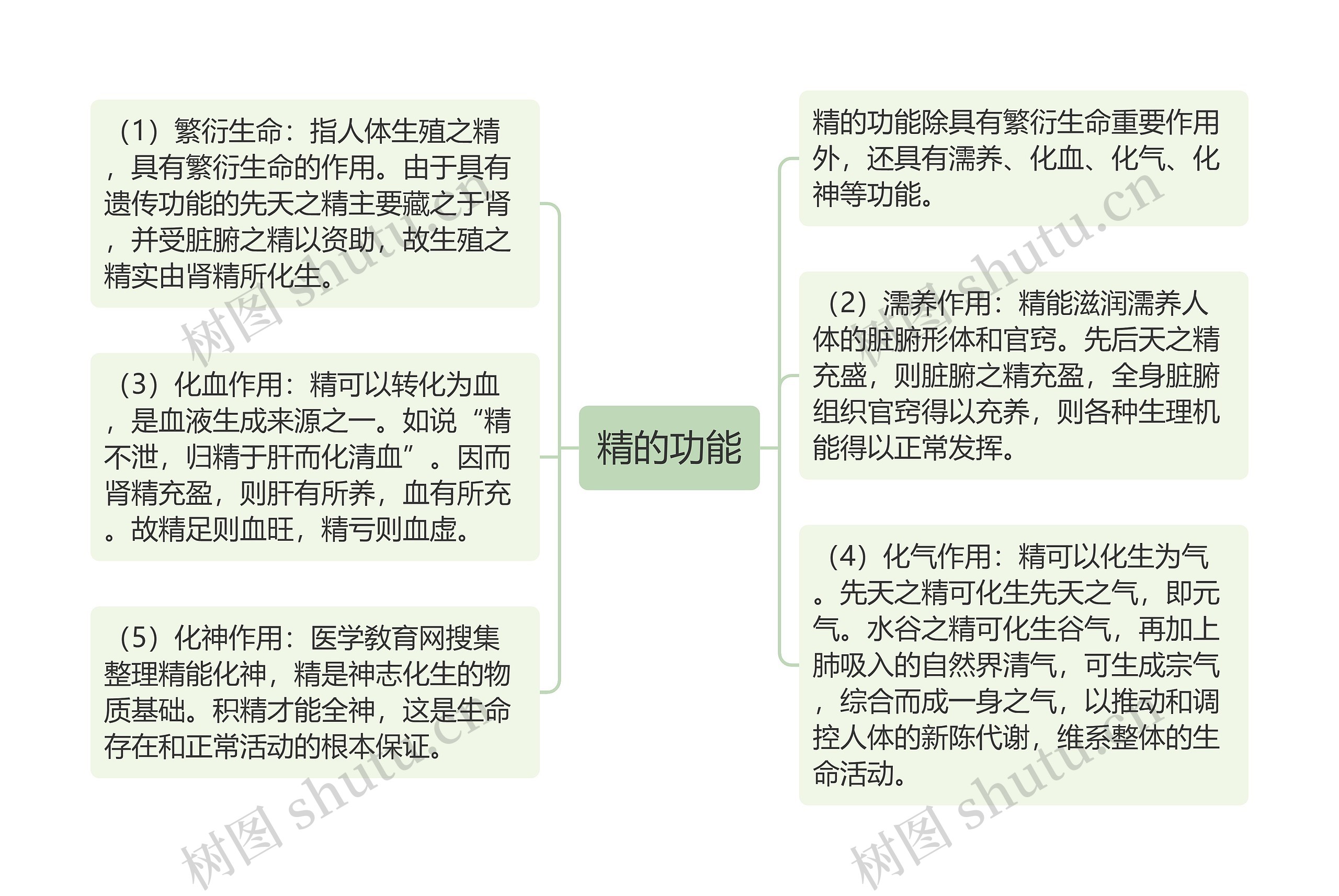 精的功能思维导图