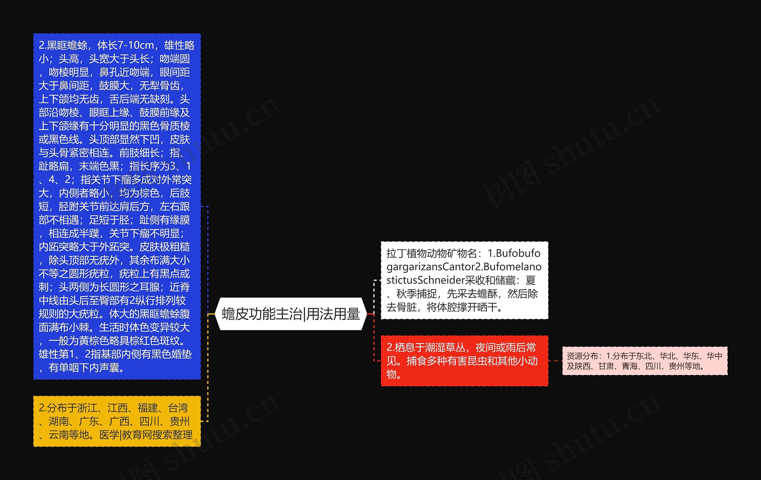 蟾皮功能主治|用法用量思维导图