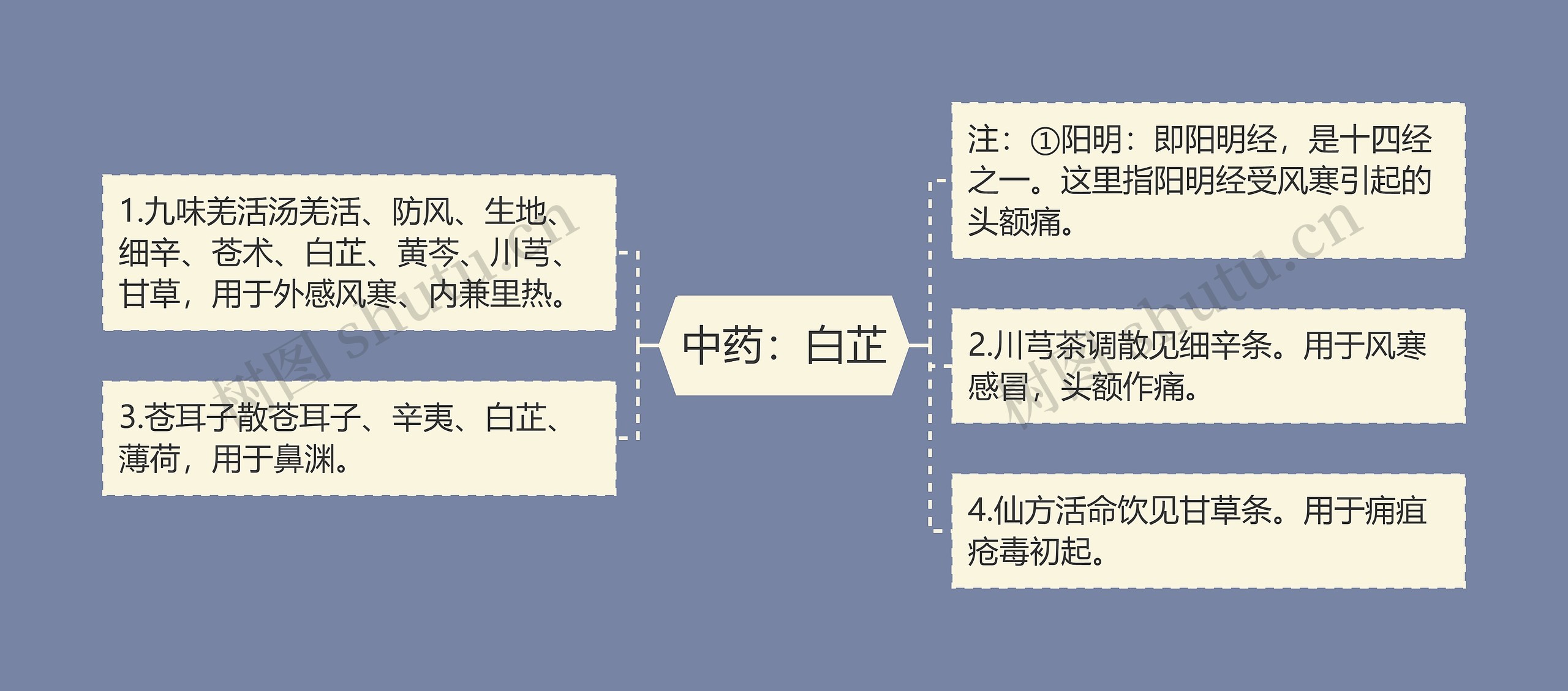 中药：白芷思维导图