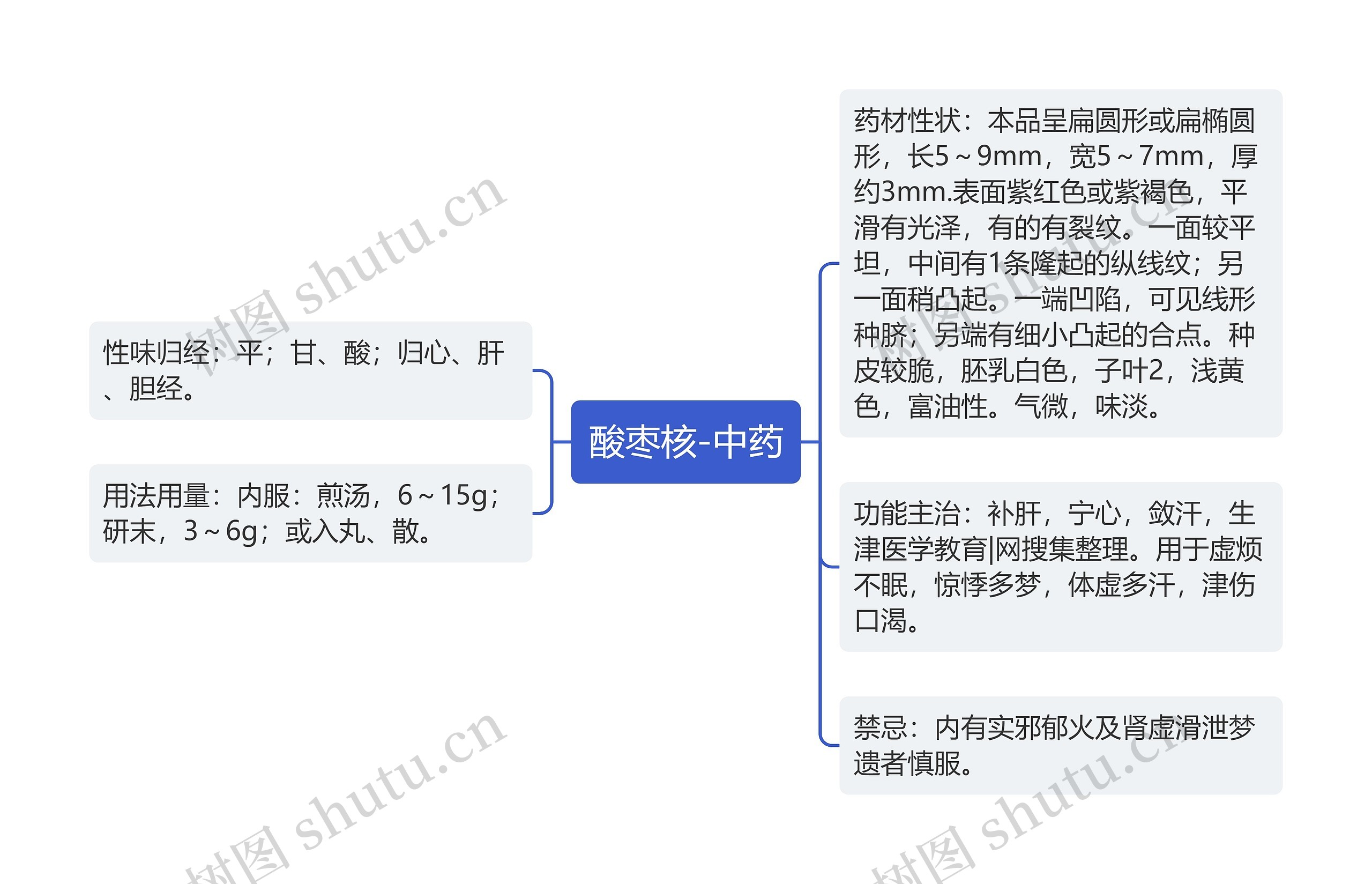 酸枣核-中药思维导图