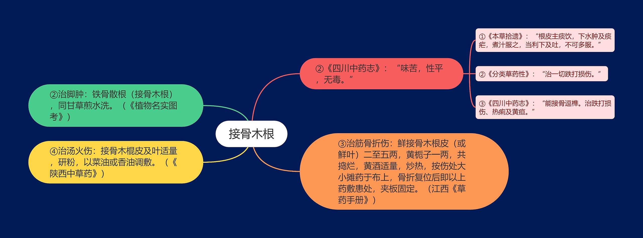 接骨木根思维导图