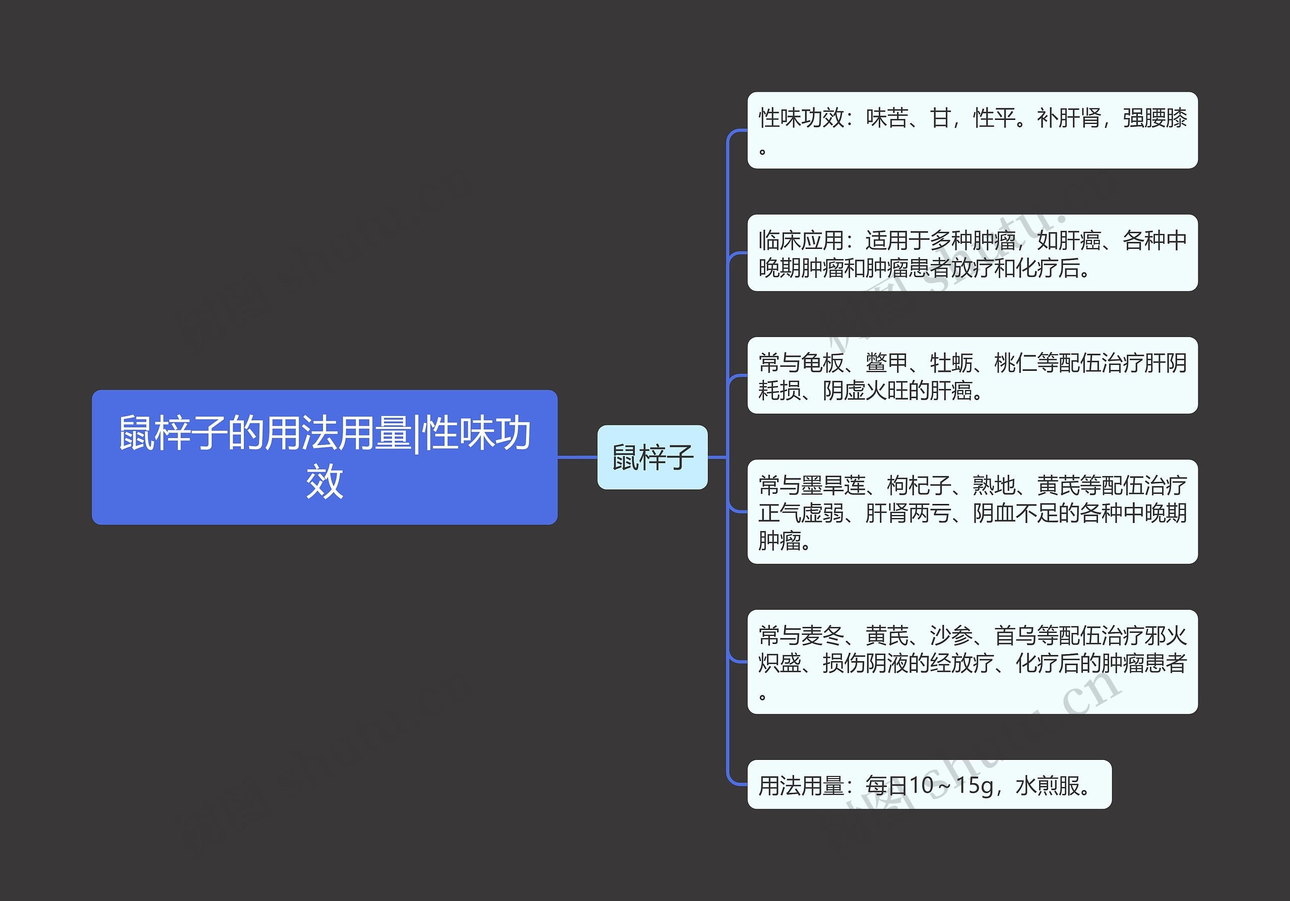 鼠梓子的用法用量|性味功效 鼠梓子的用法用量|性味功效