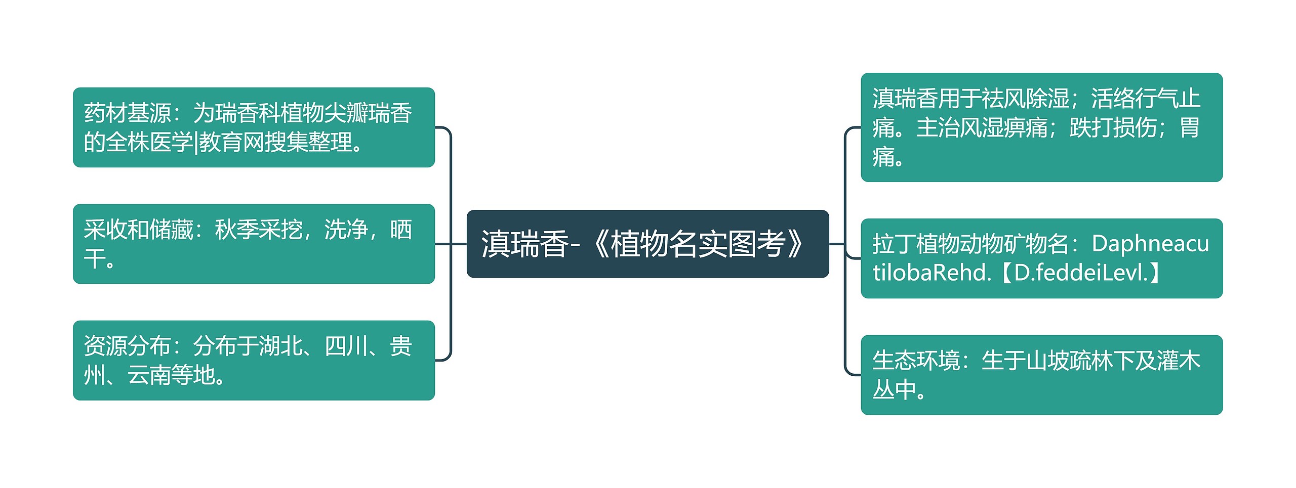 滇瑞香-《植物名实图考》