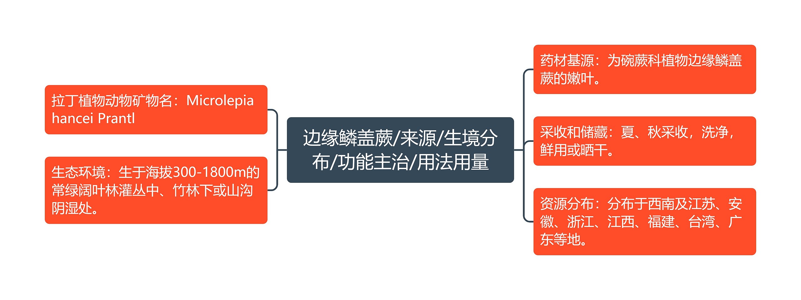 边缘鳞盖蕨/来源/生境分布/功能主治/用法用量思维导图