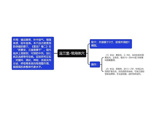 足三里-常用体穴