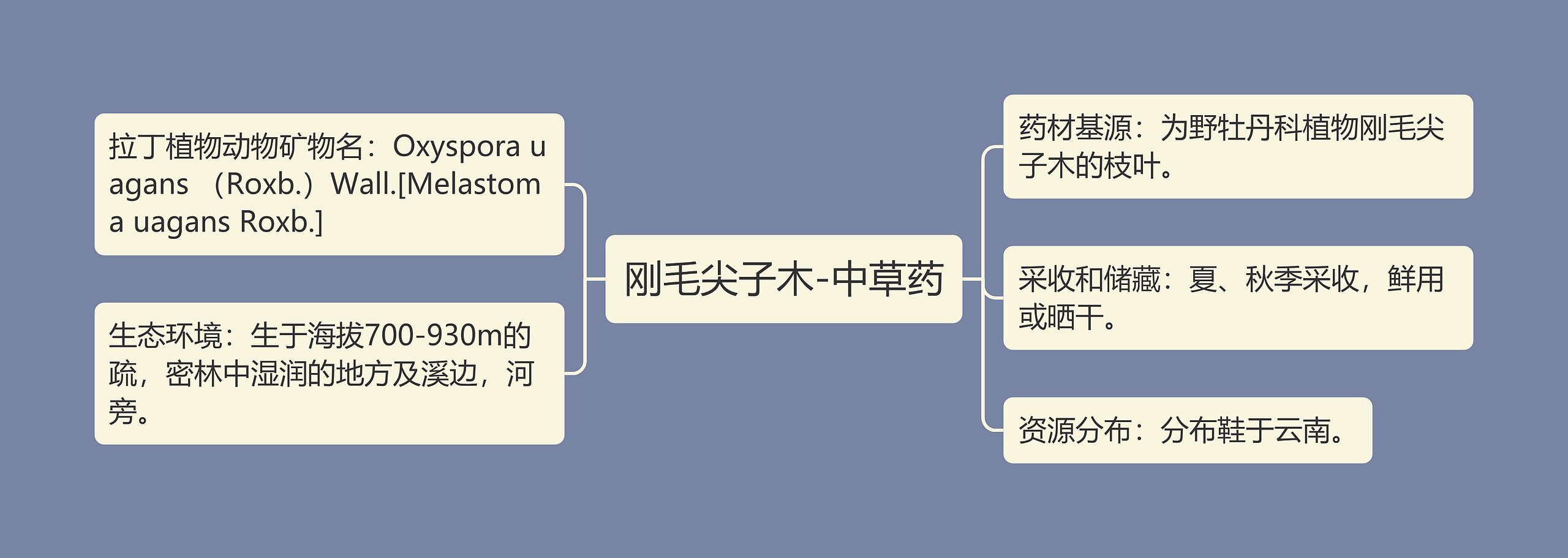 刚毛尖子木-中草药思维导图