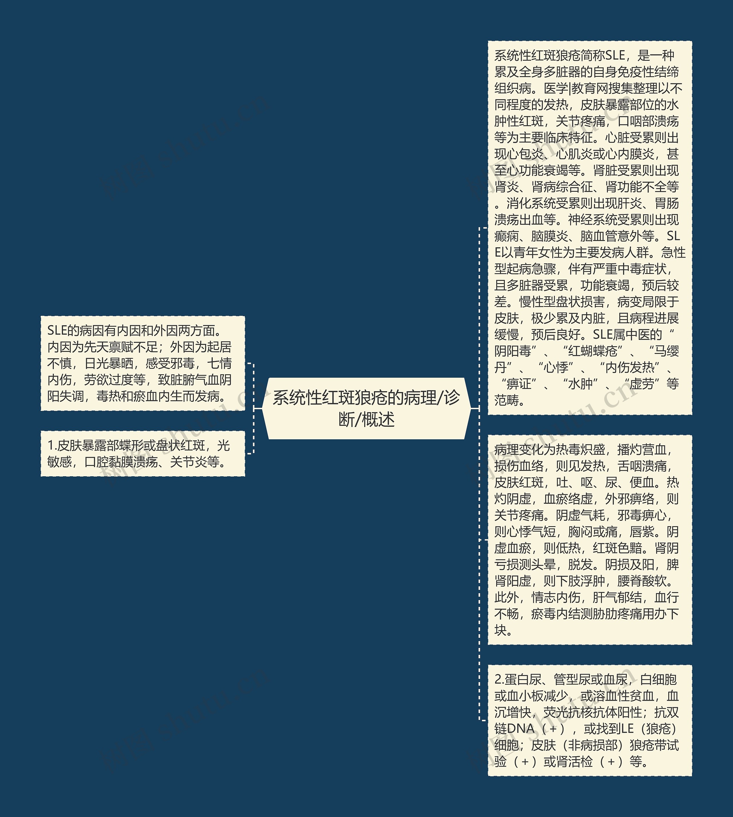 系统性红斑狼疮的病理/诊断/概述思维导图