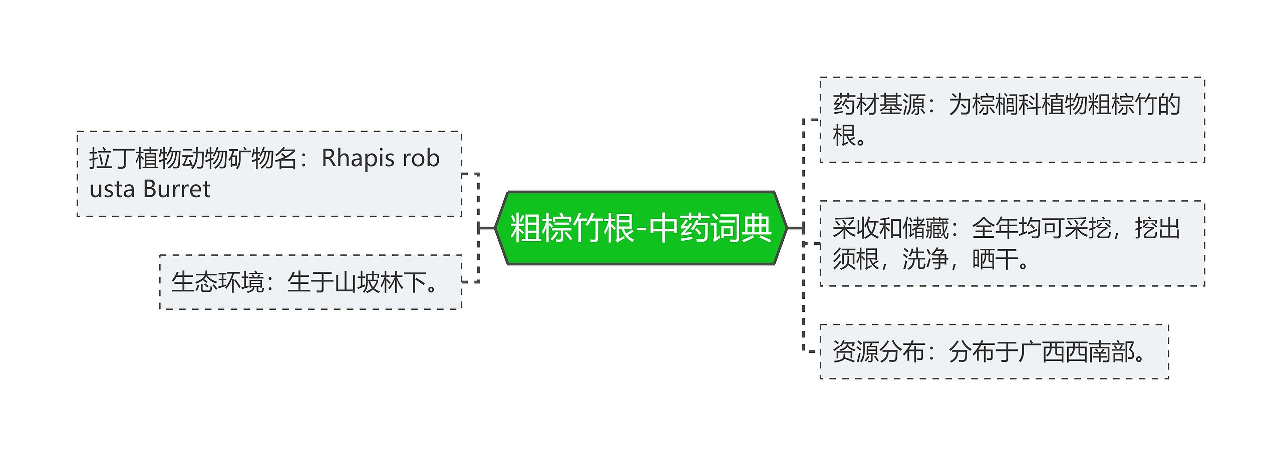 粗棕竹根-中药词典思维导图